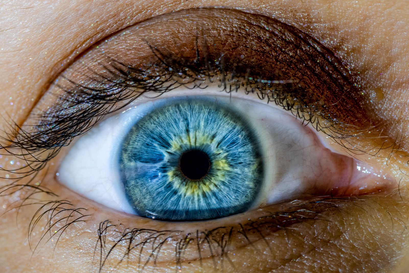 Irisfotografie