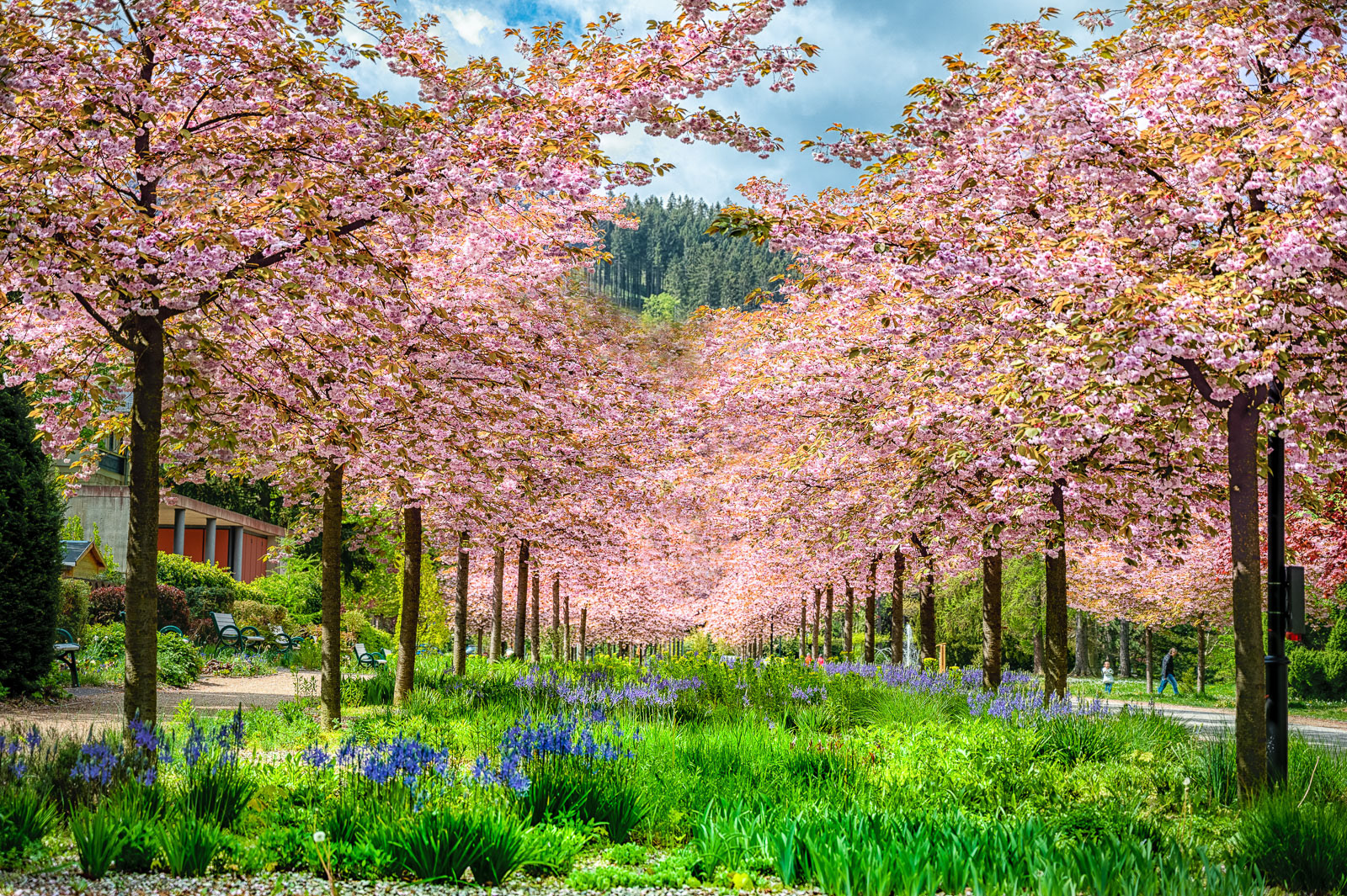 Frühling in Friedrichroda