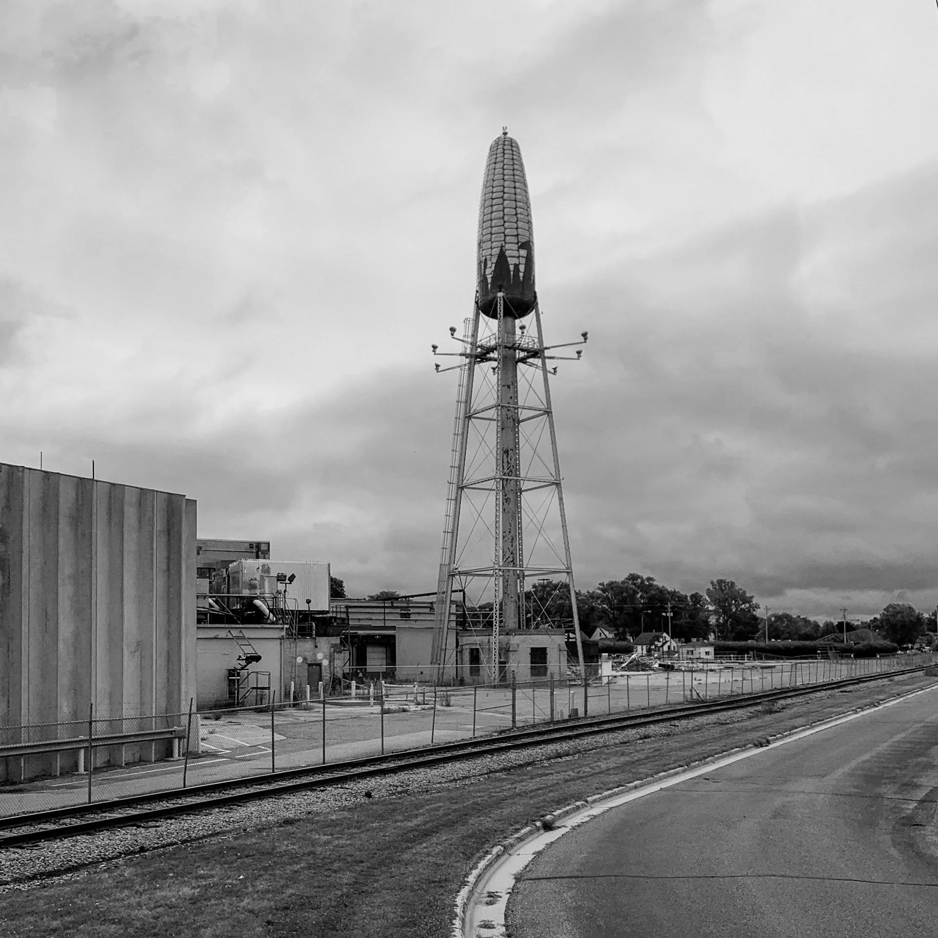 Corn Cobb, MN