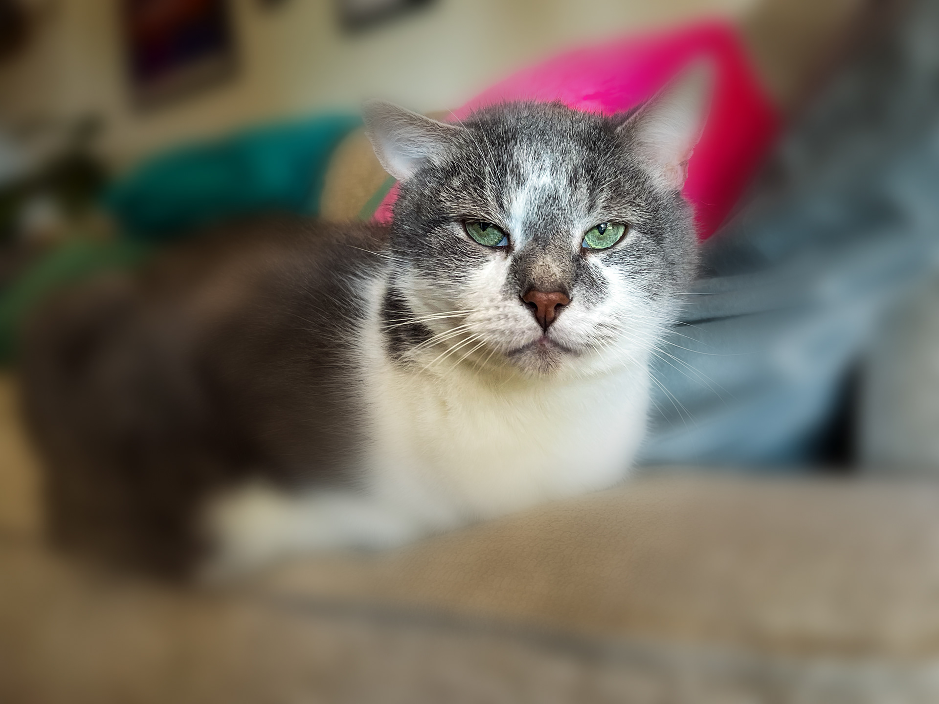 Harvey