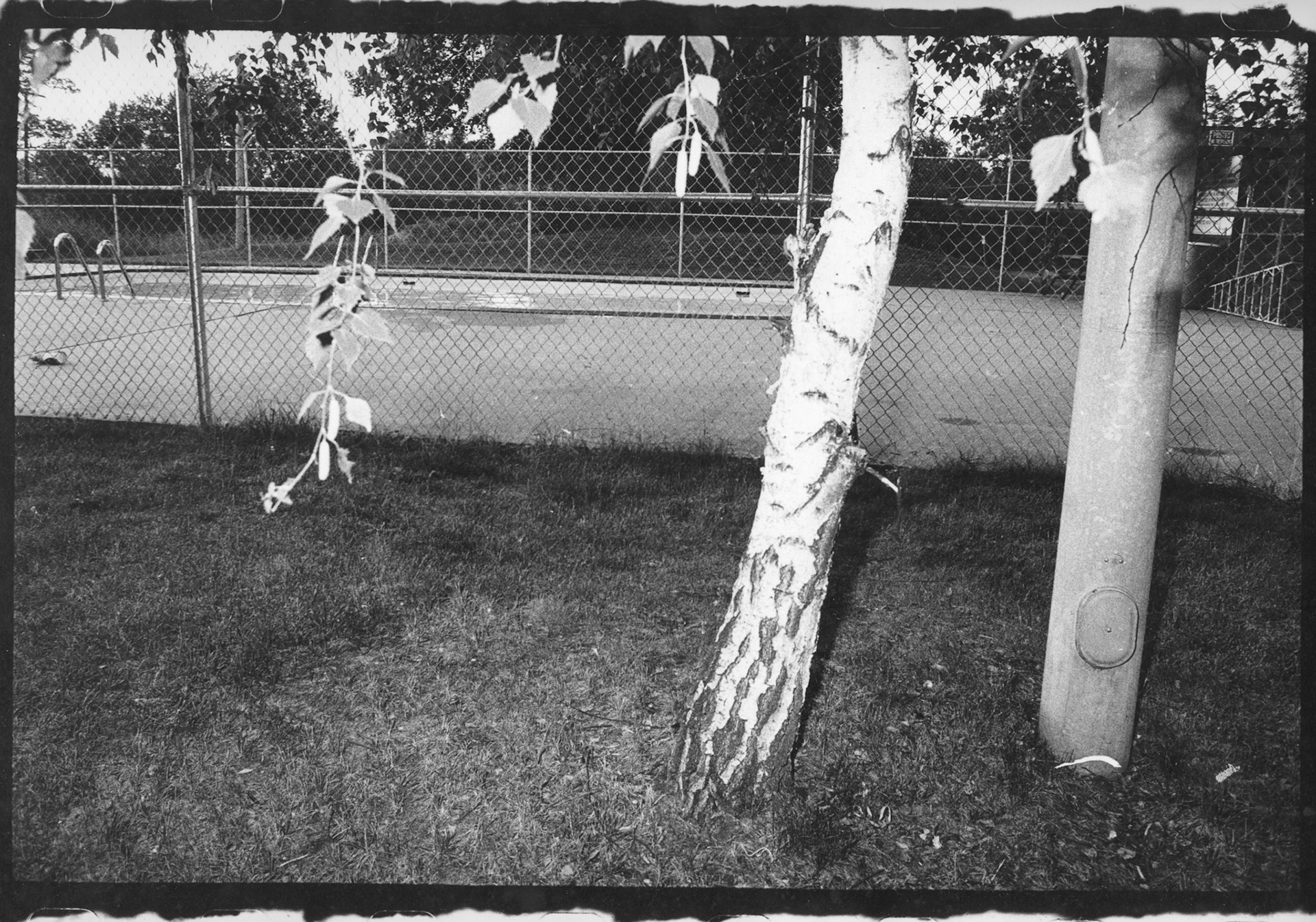 Man-Altered Landscape 1987 -4