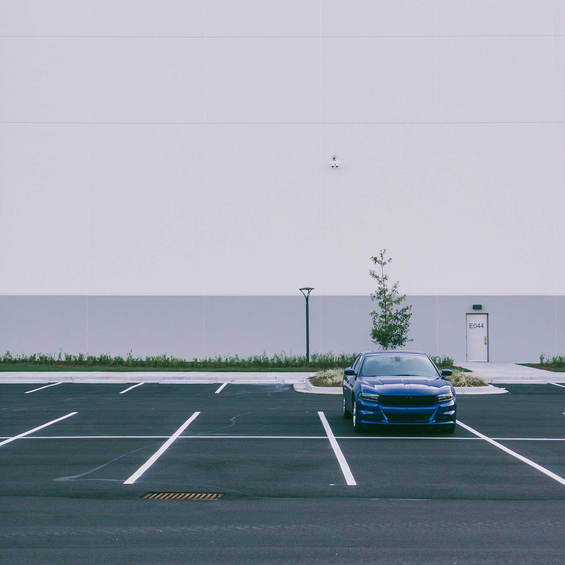 Processed with VSCO with q8 preset