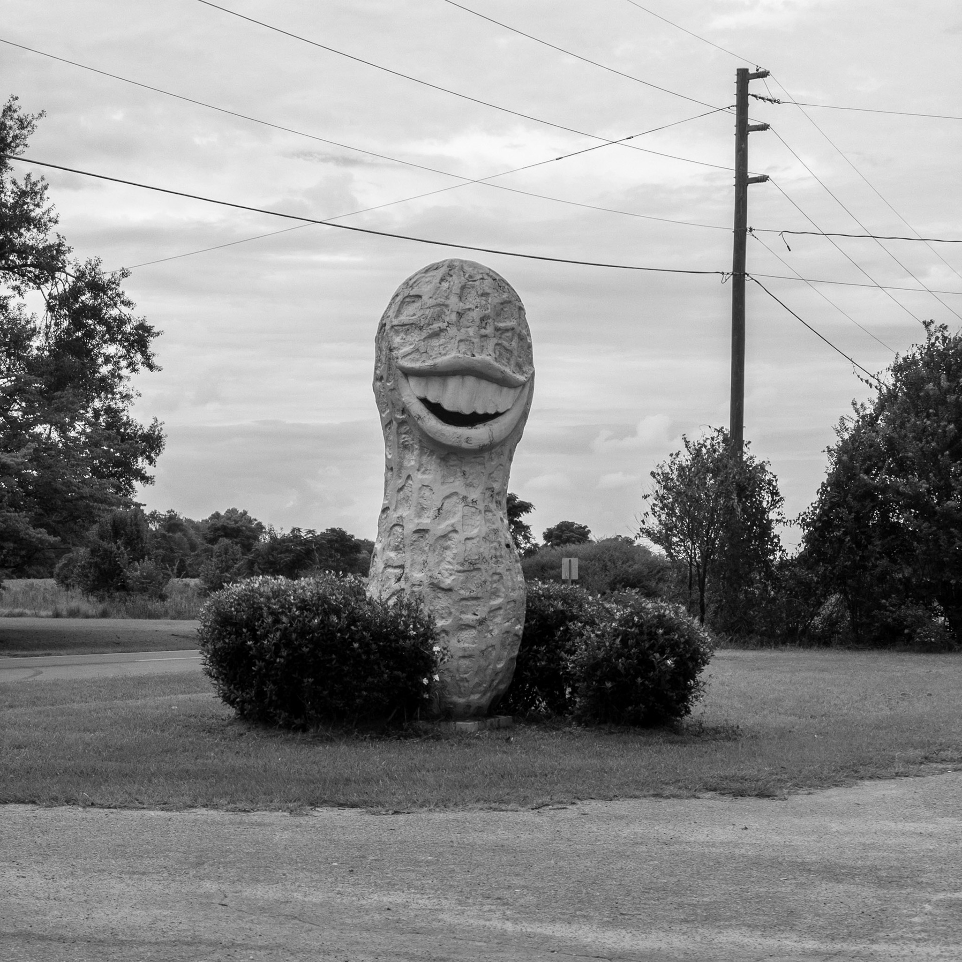 Plains GA