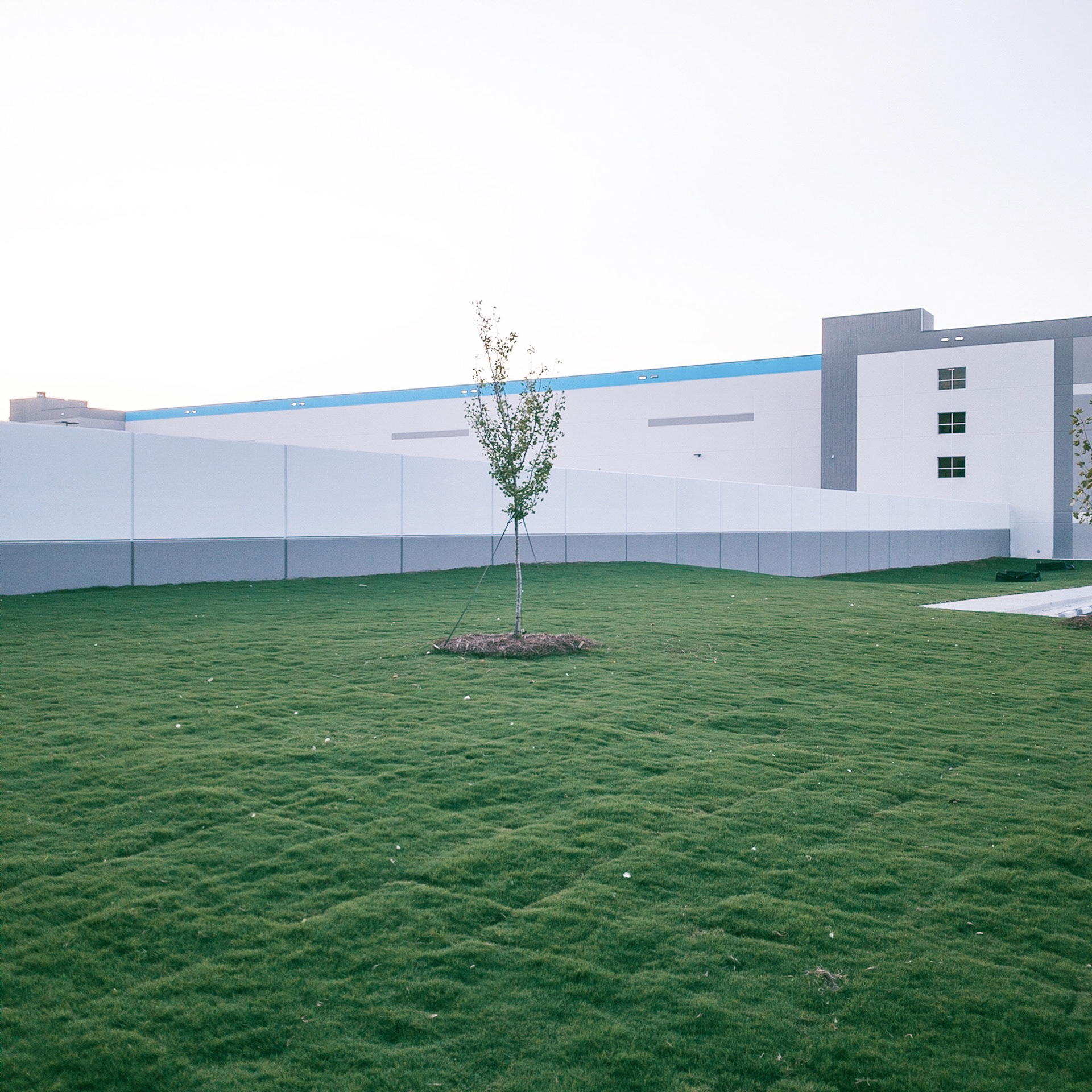 Processed with VSCO with q8 preset