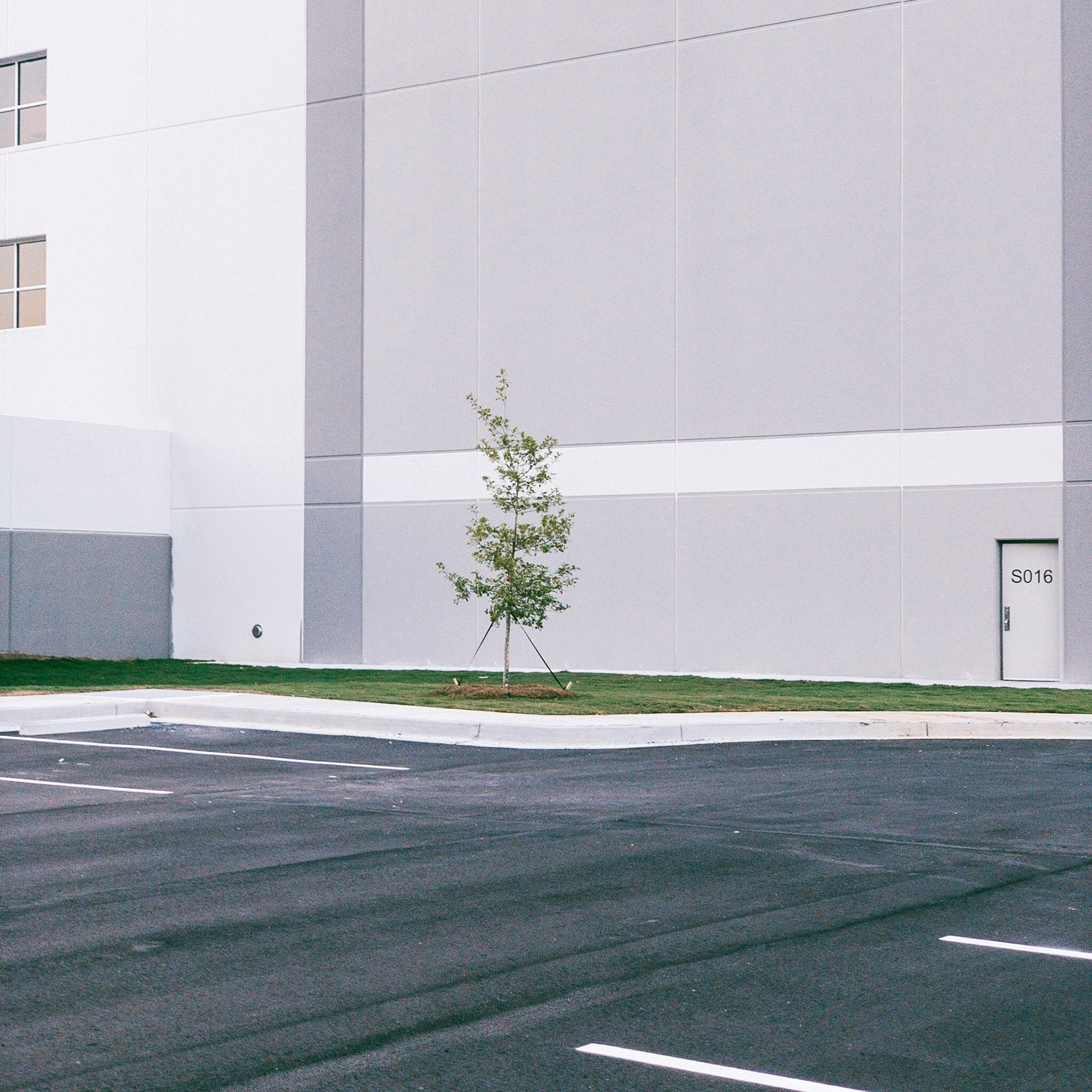 Processed with VSCO with q8 preset