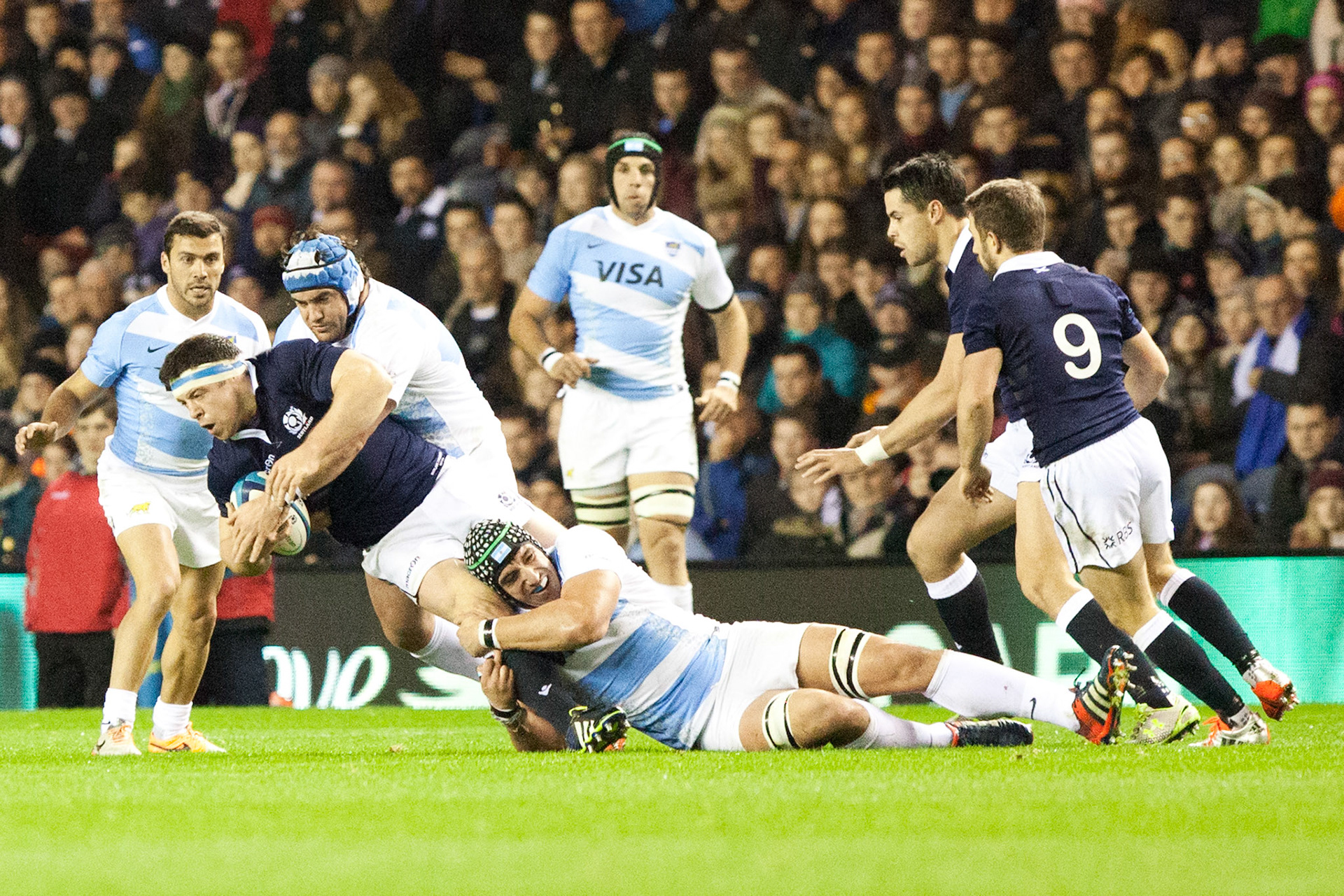 Scotland v Argentina Rugby