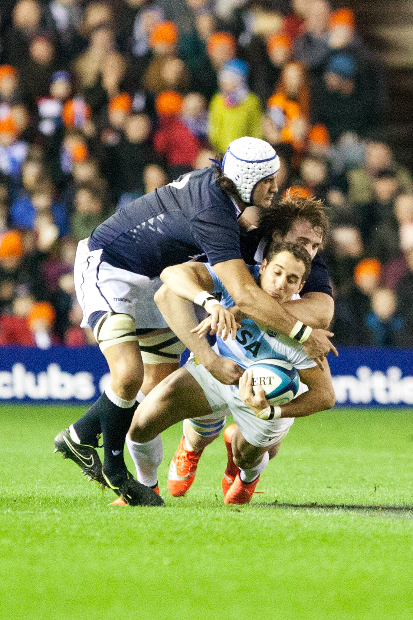 Scotland v Argentina Rugby