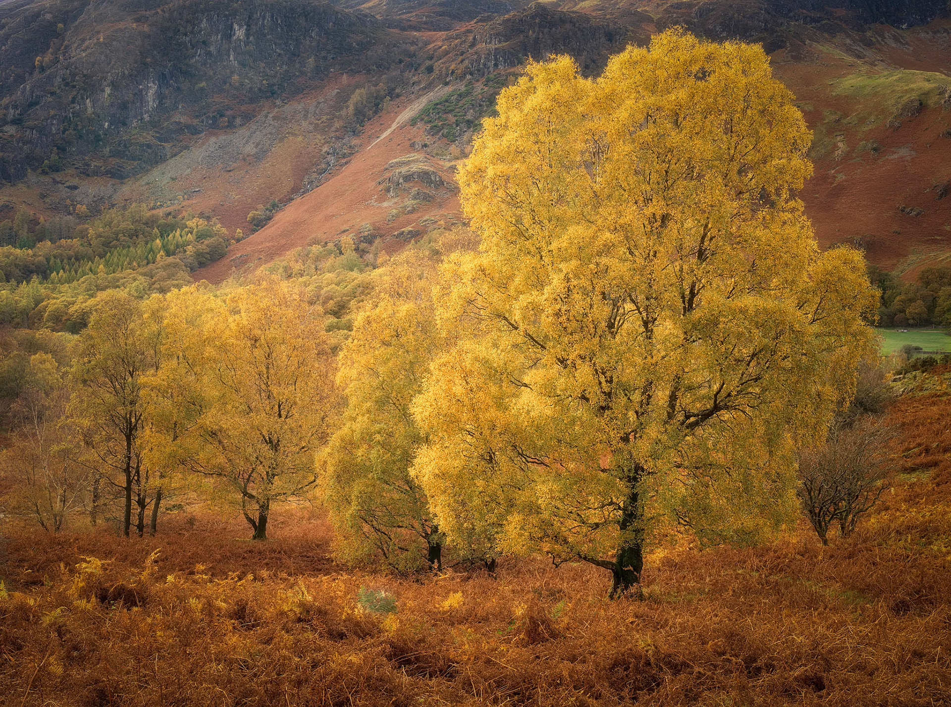Autumnal Borrowdale