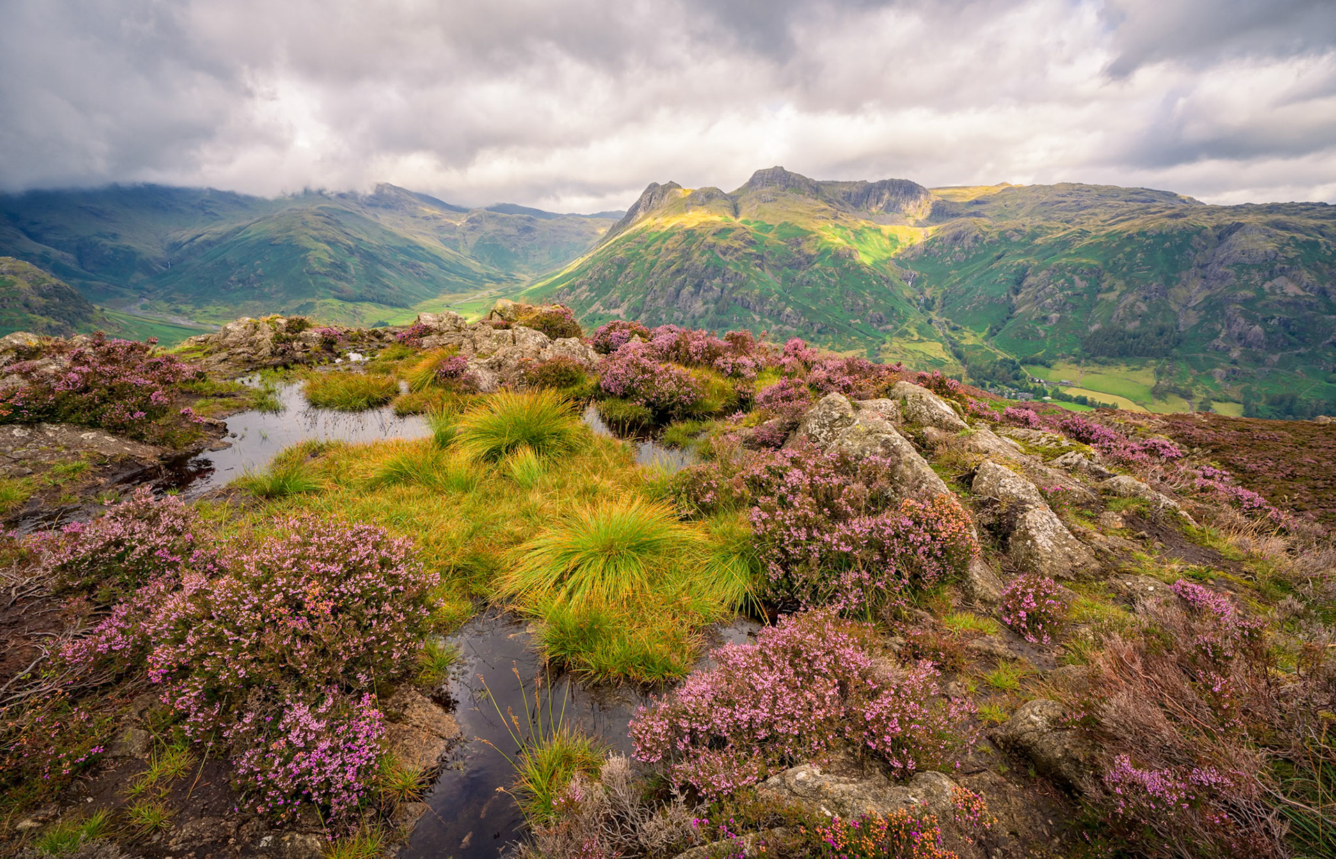 Lingmoor Fell