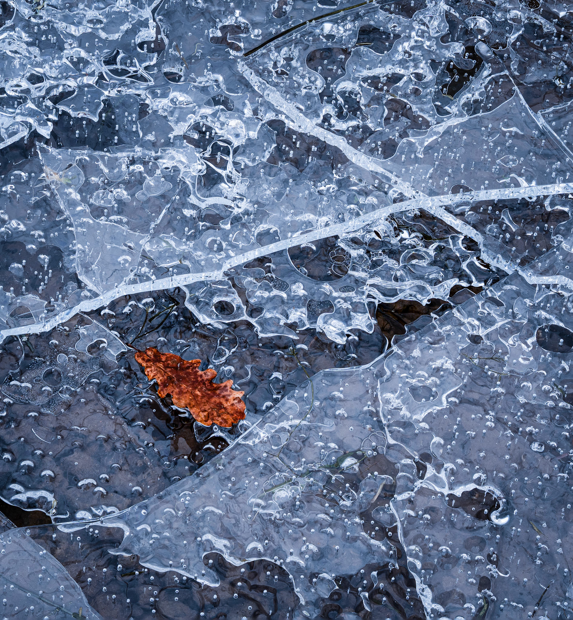 Bubbles and Ice