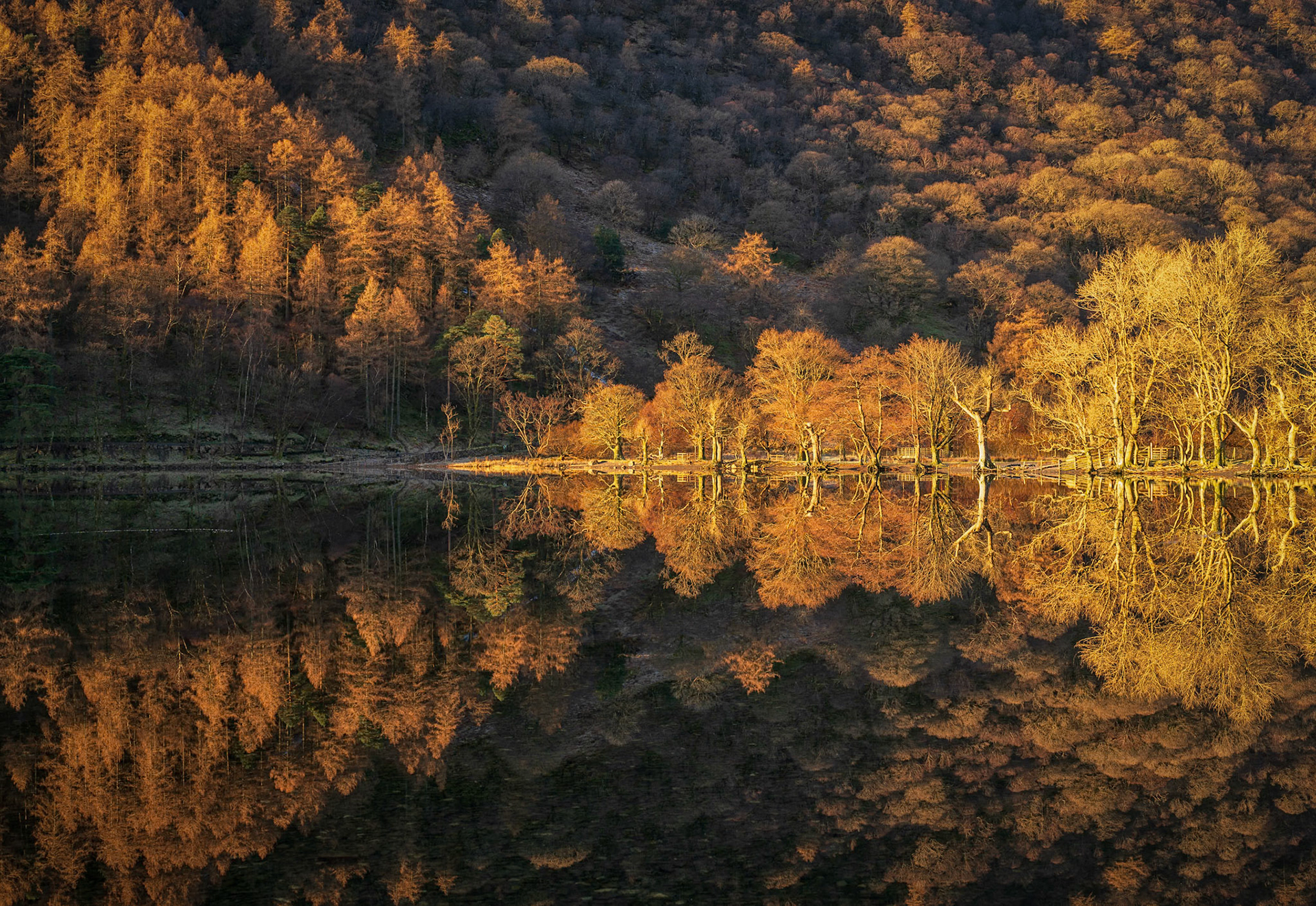 Buttermere First Light