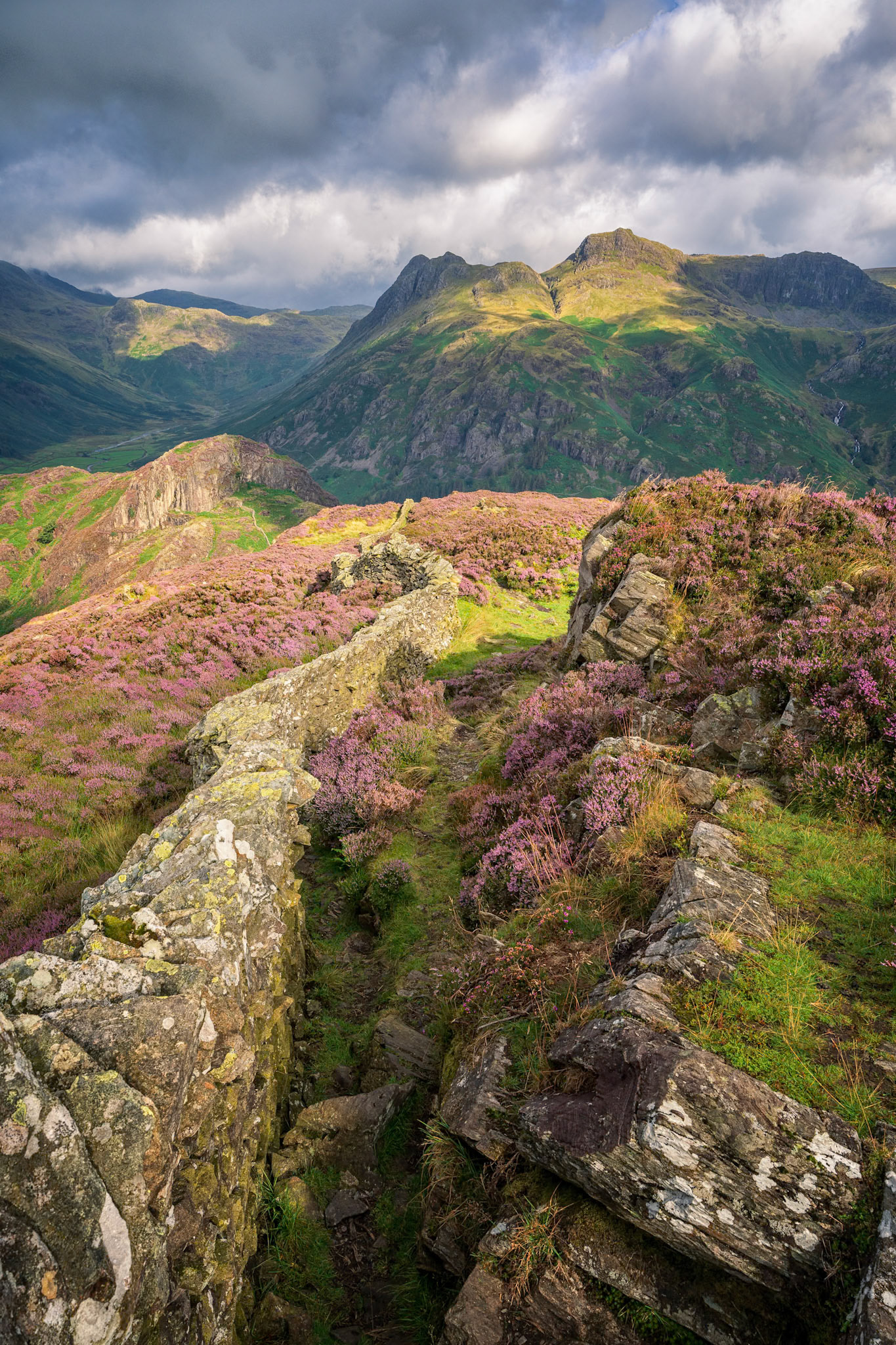 Lingmoor Fell