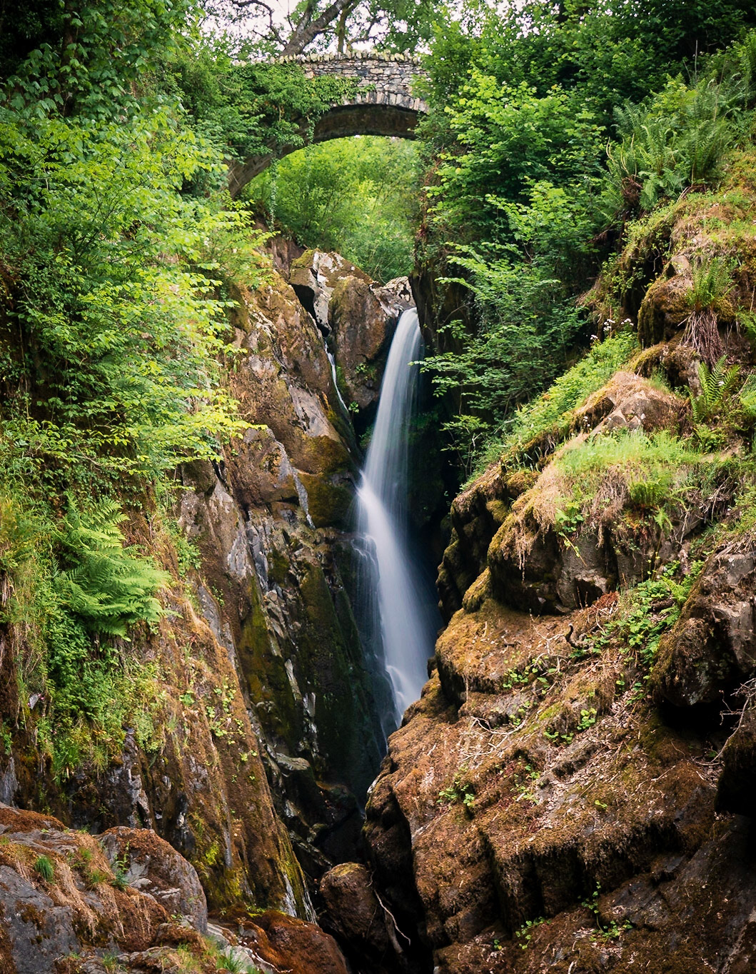 Aira Force