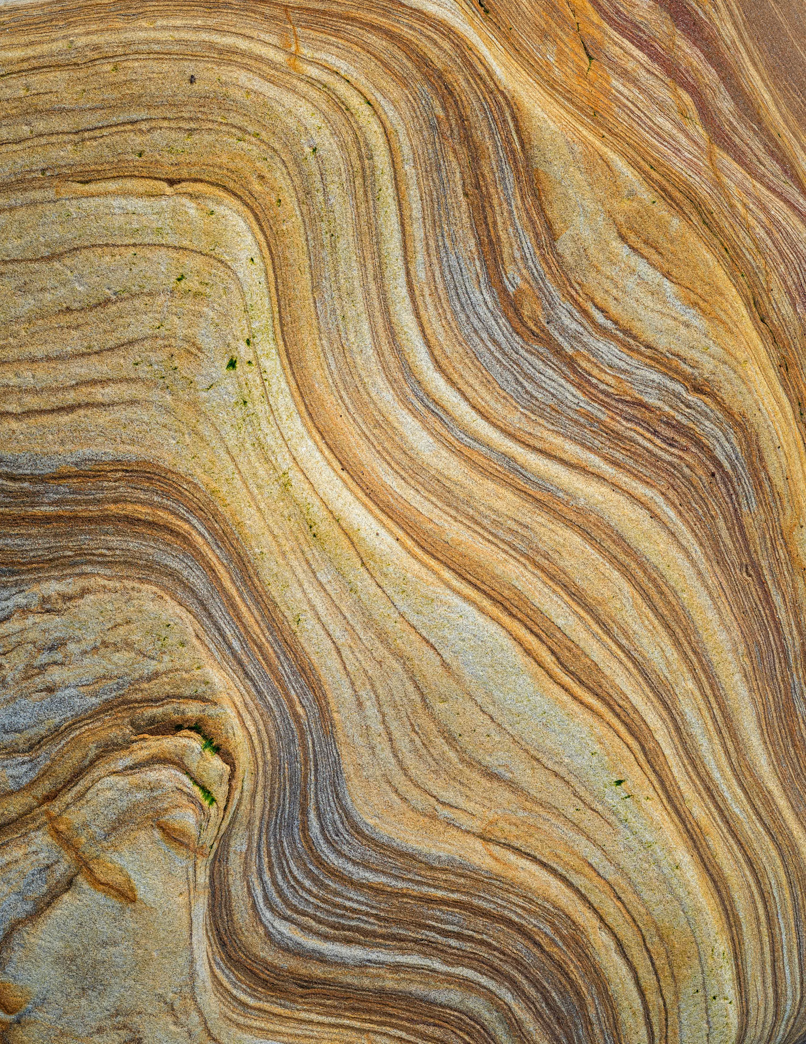 Spittal Contours