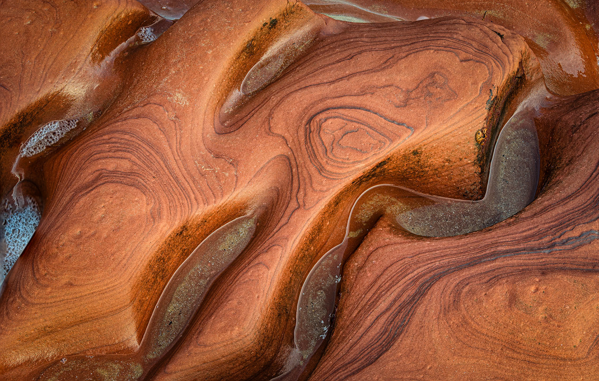 Carved