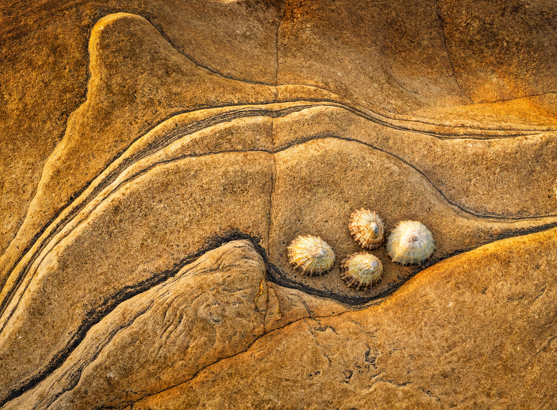 Partin Rock Contours