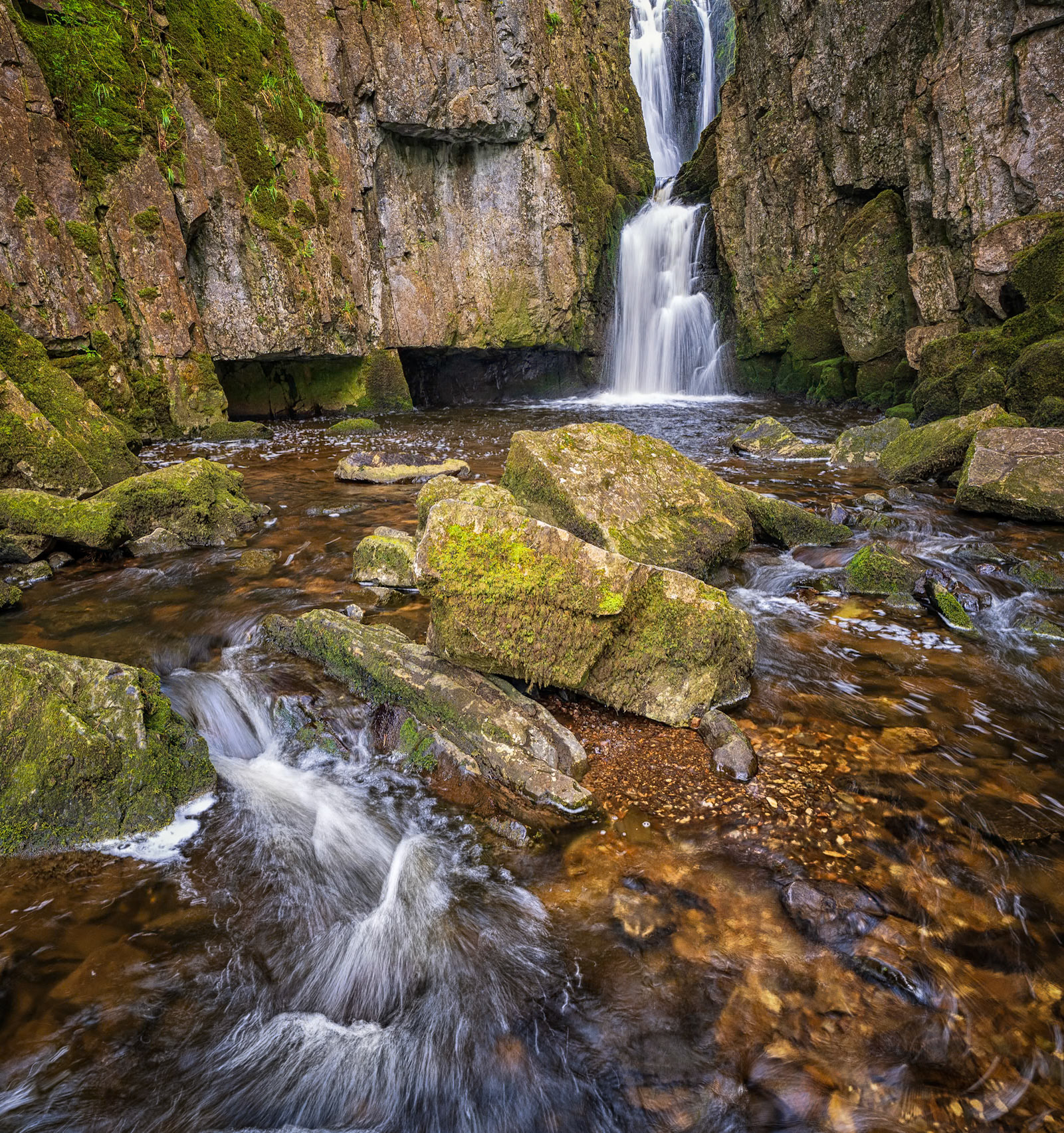 Catrigg Force