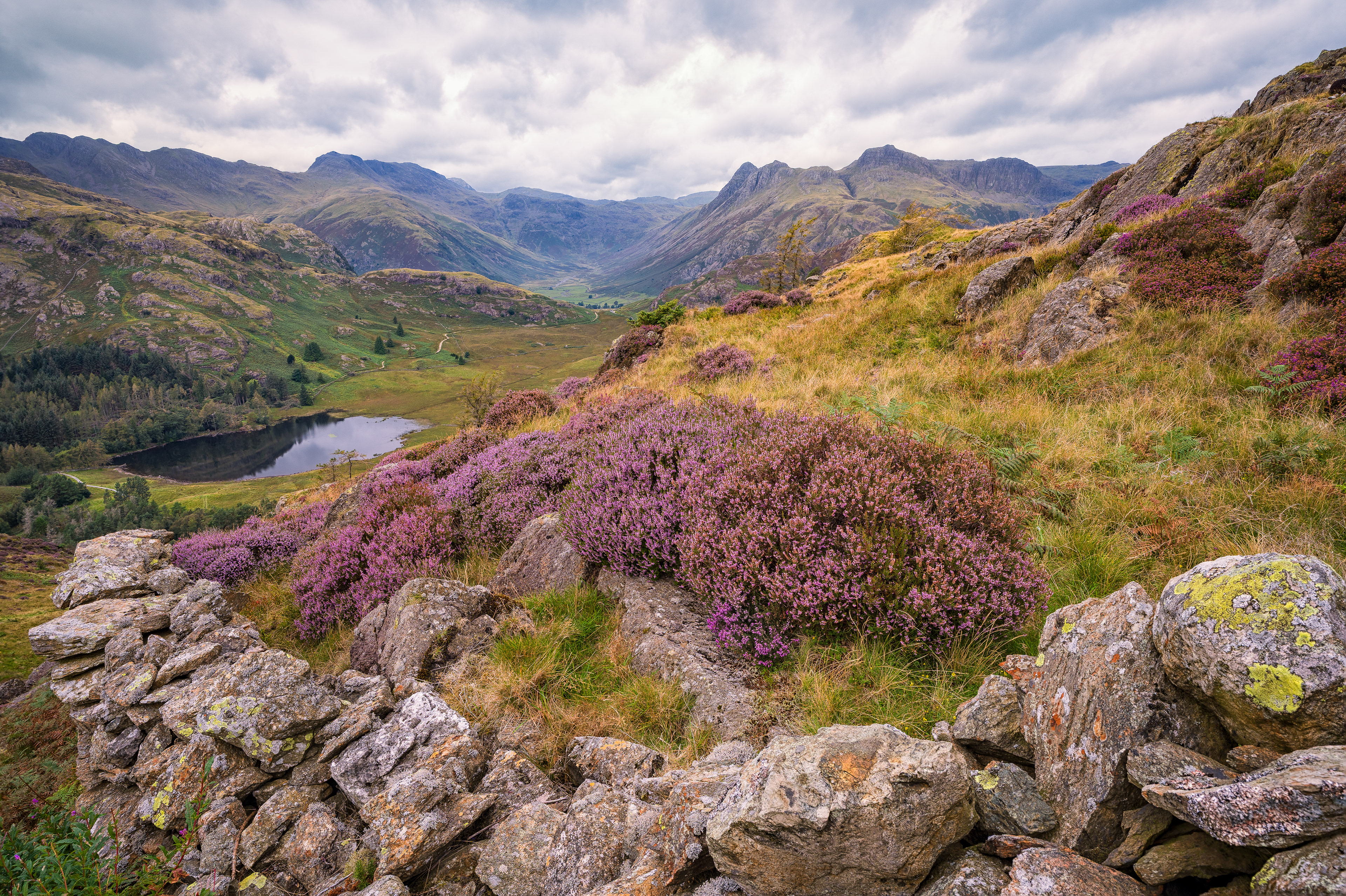 Langdale from Lingmoor Fell