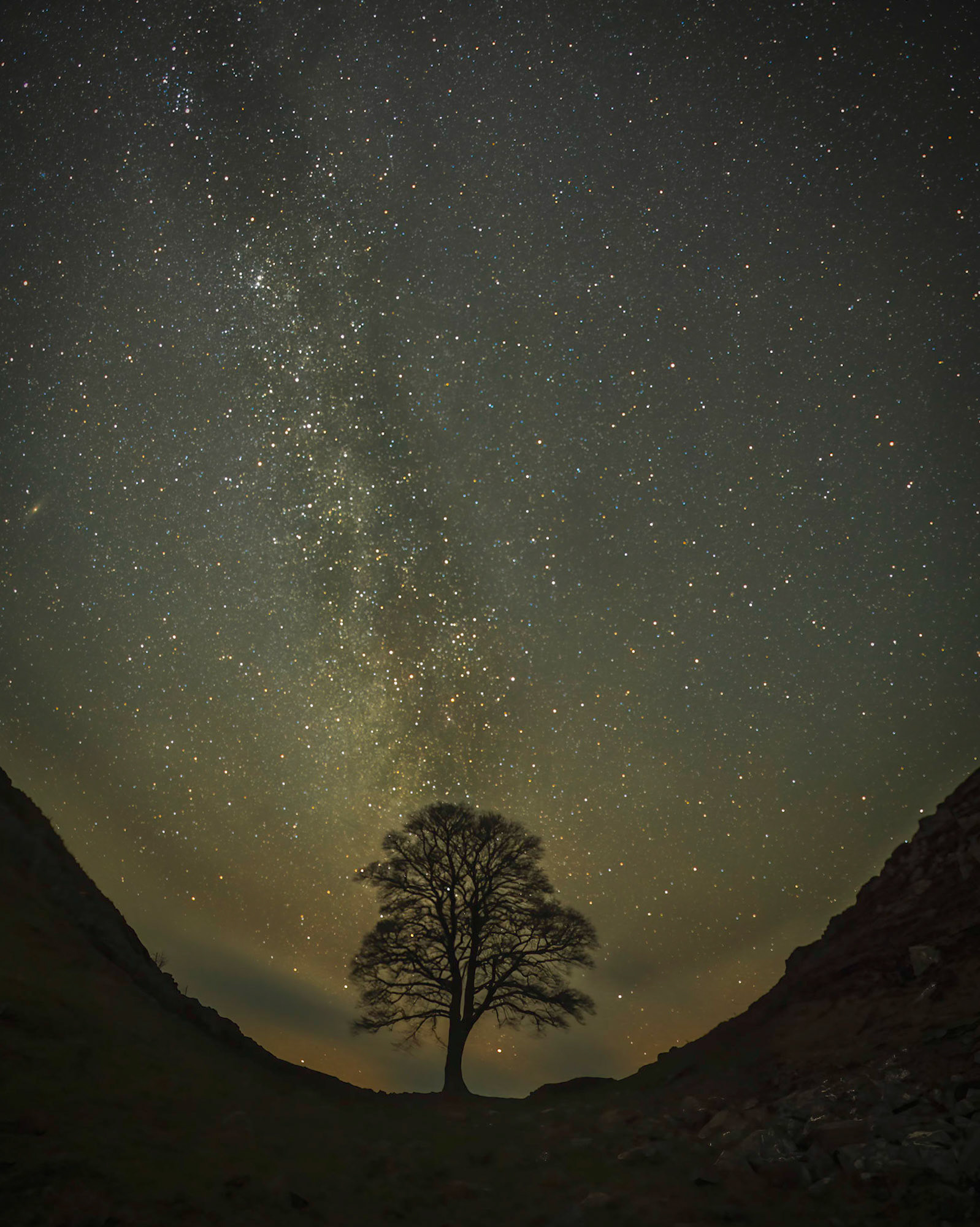 Sycamore Gap Milky Way