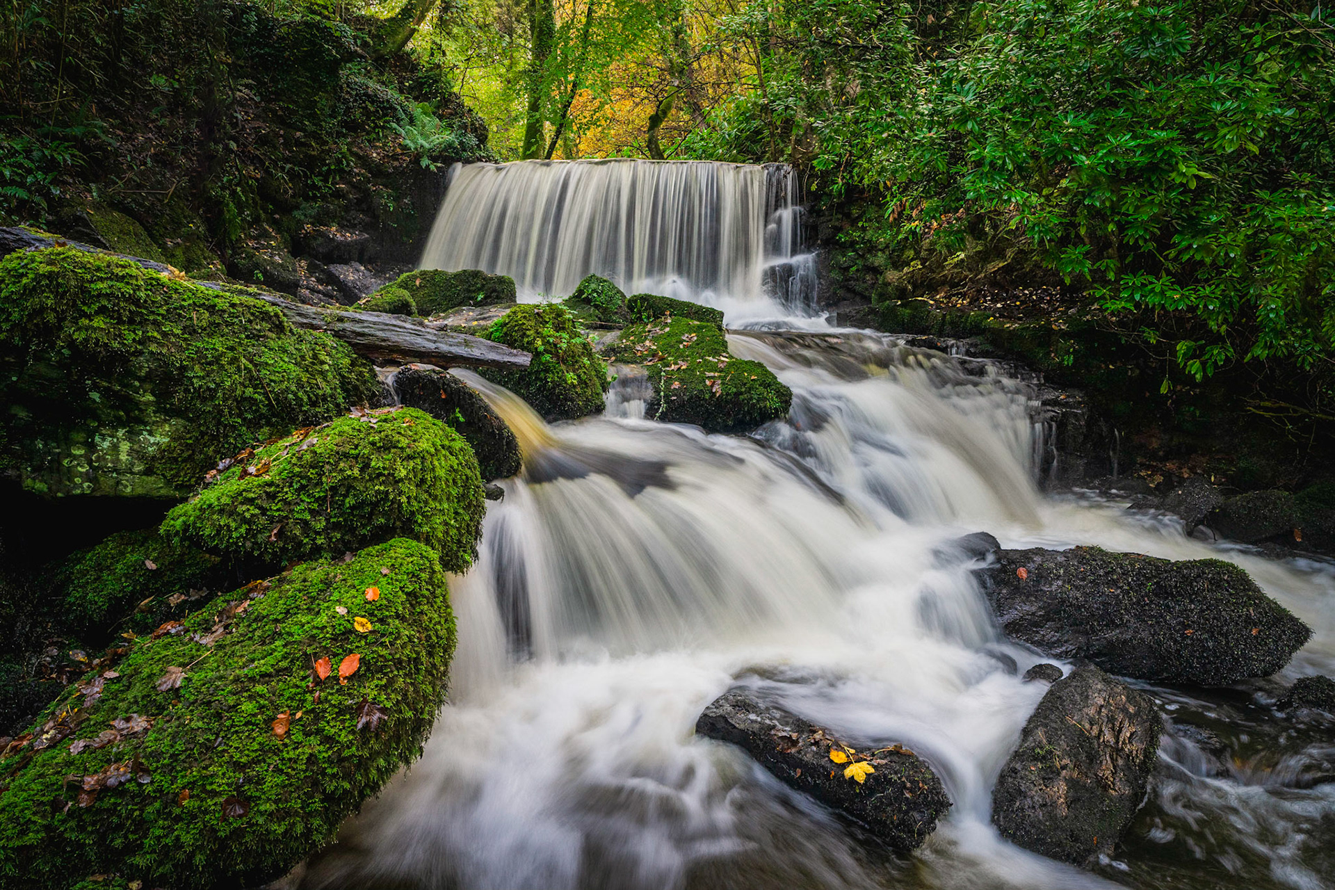 Anglesey Hidden Falls