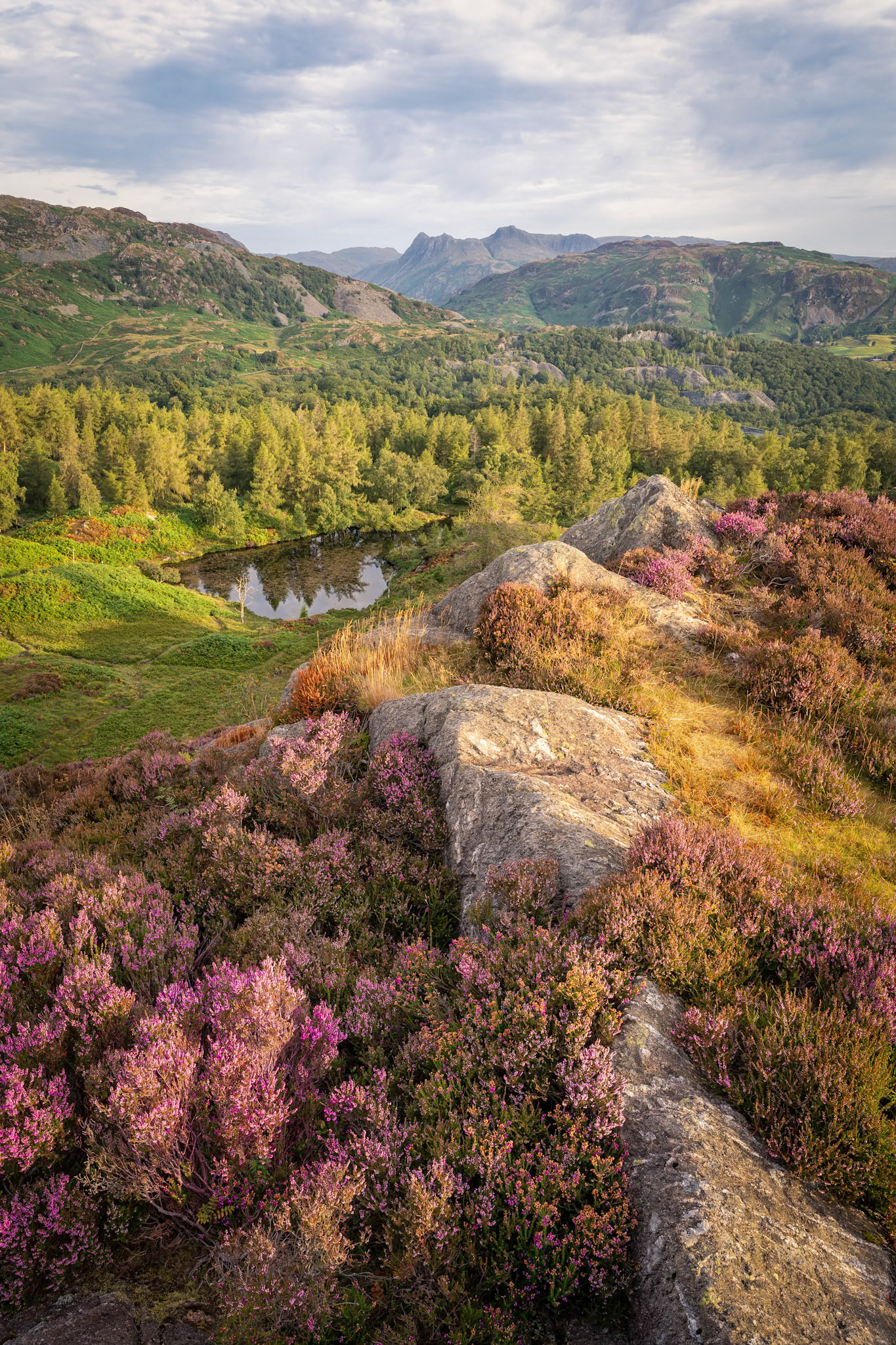 Holme Fell