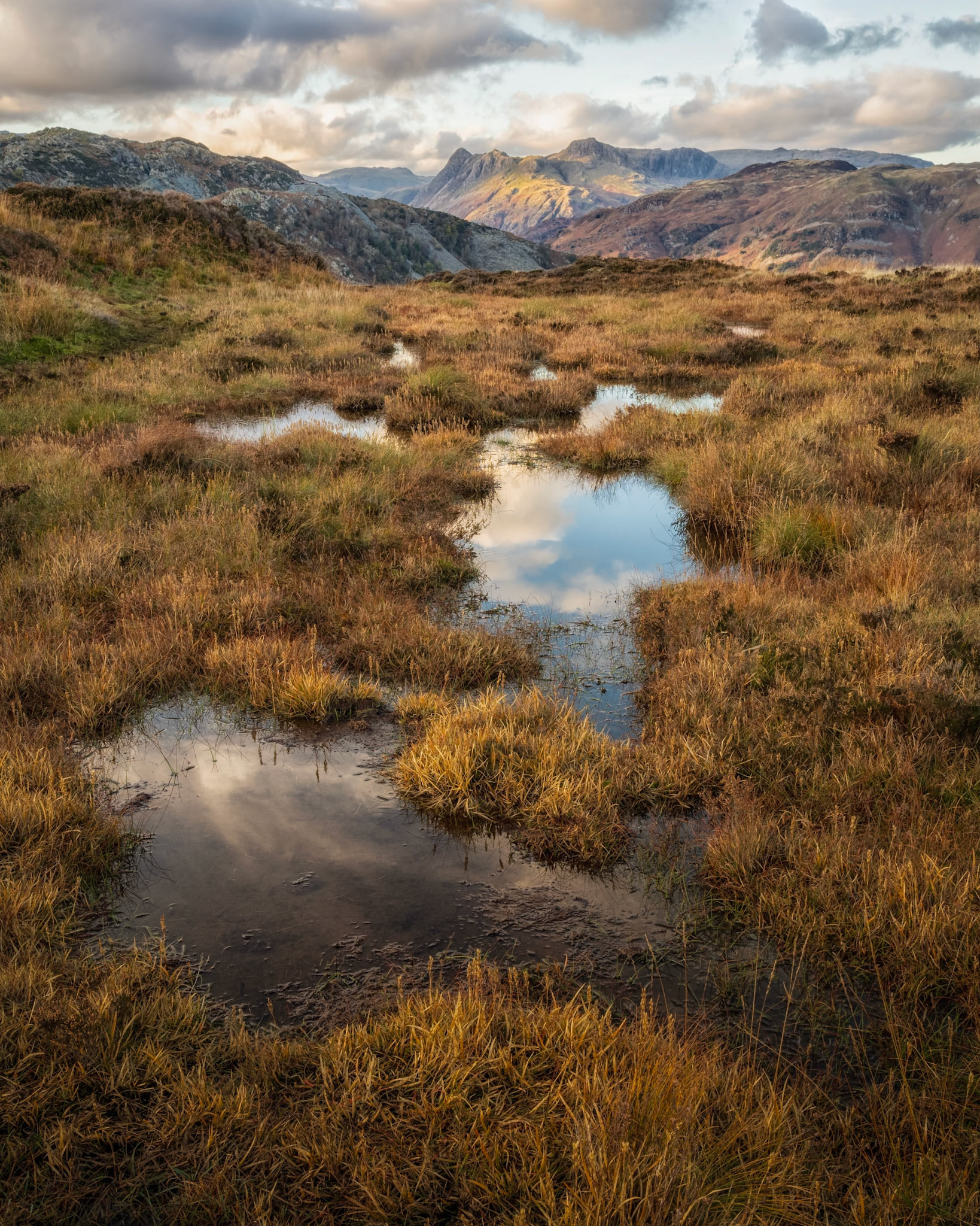 Golden Pikes from Holme Fell