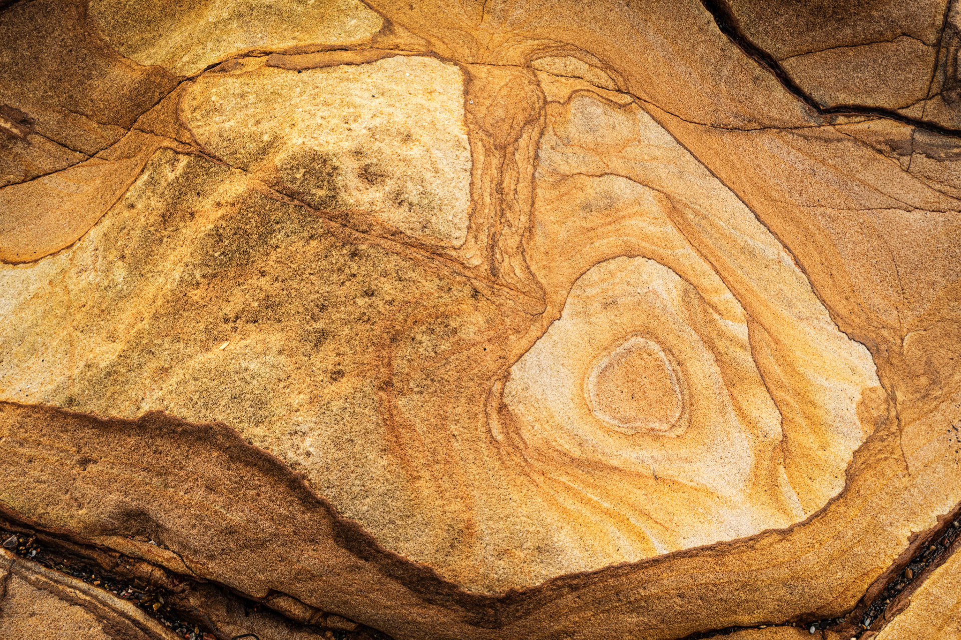 Parton Rock Fish