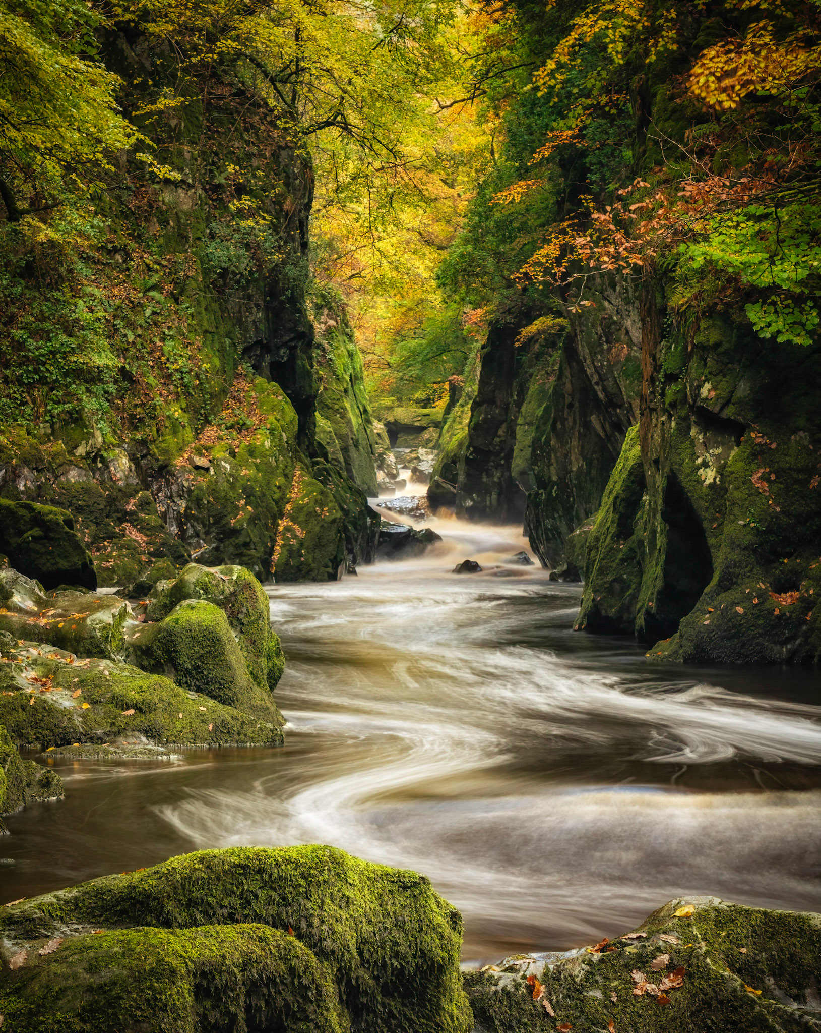 Autumnal Fairy Glen