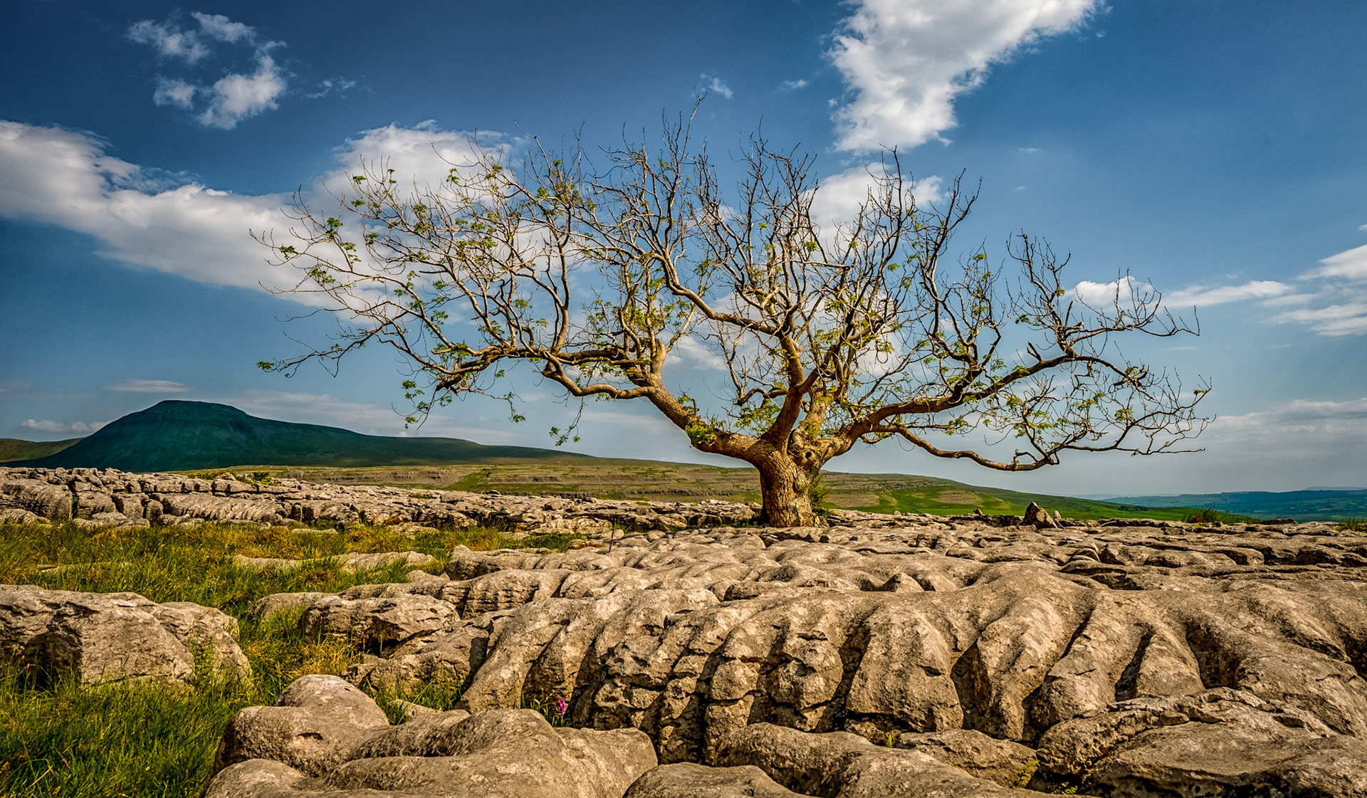 Twistleton Scar
