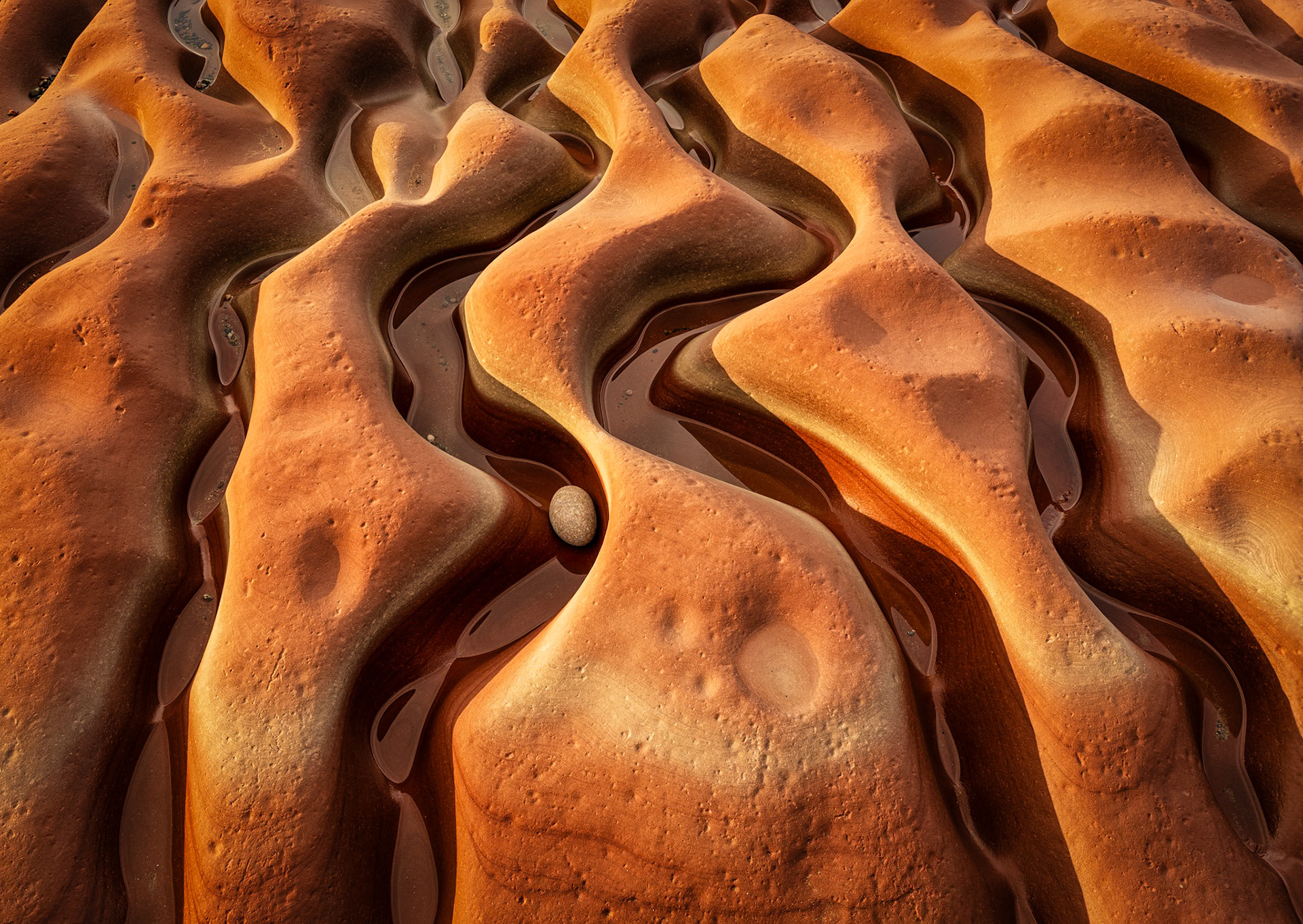 Sculpted