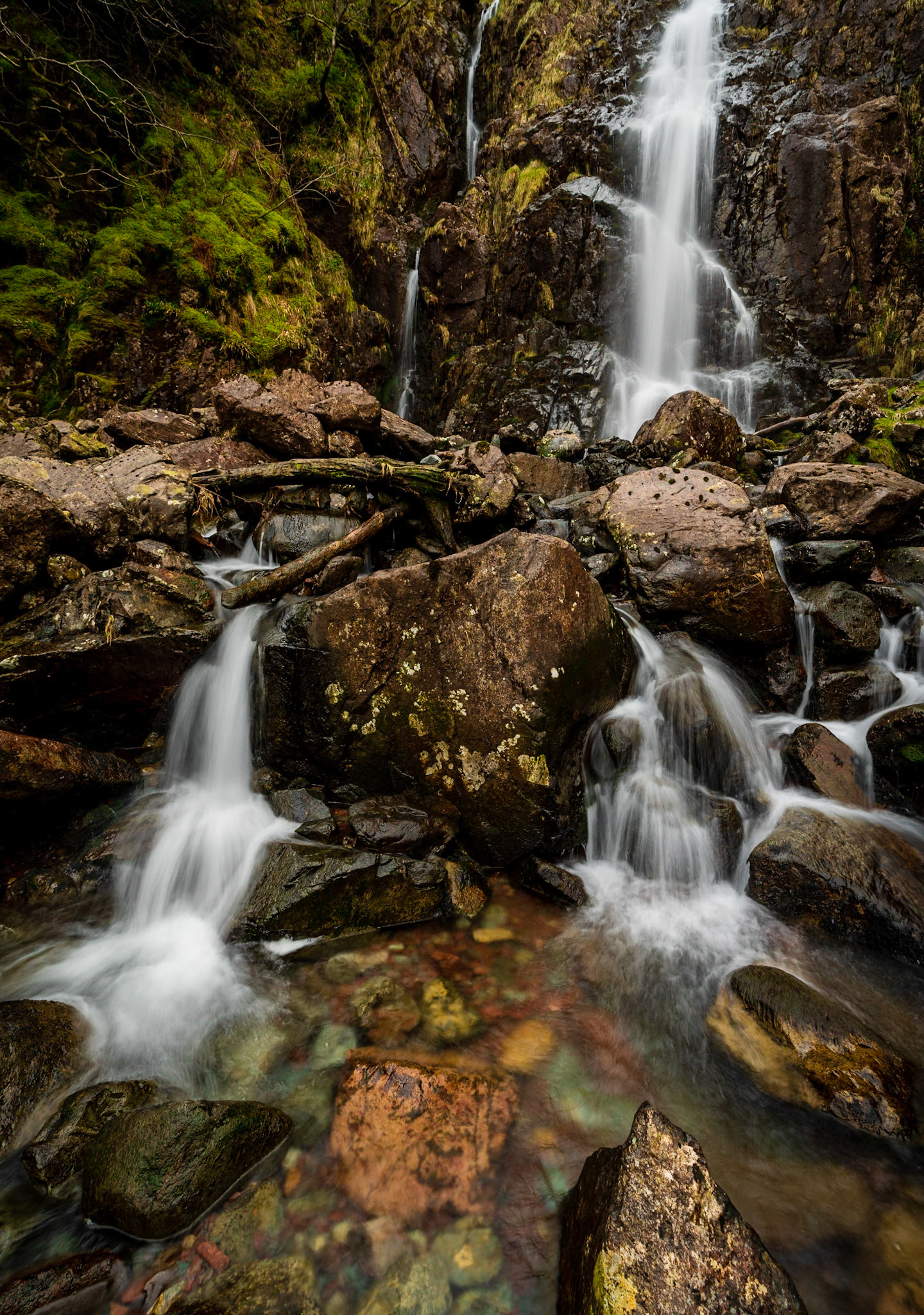 Taylor Gill Force