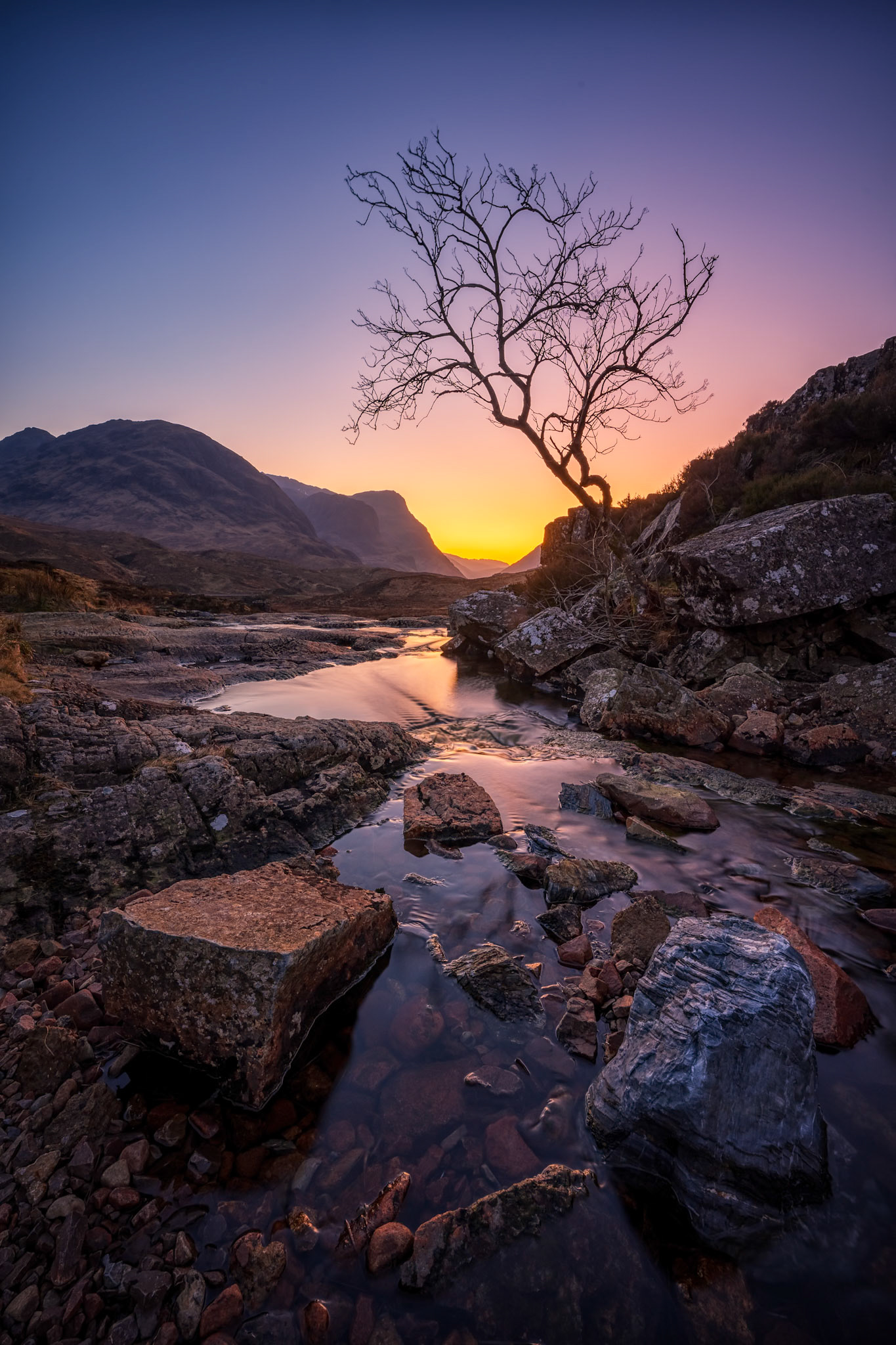 Glencoe Lone Tree Sunset