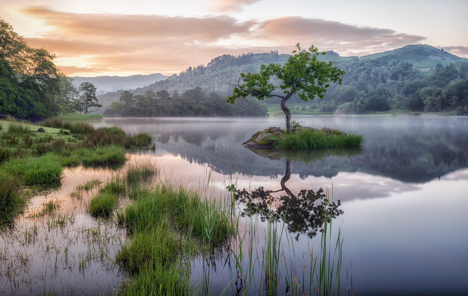 Rydal Lone Tree
