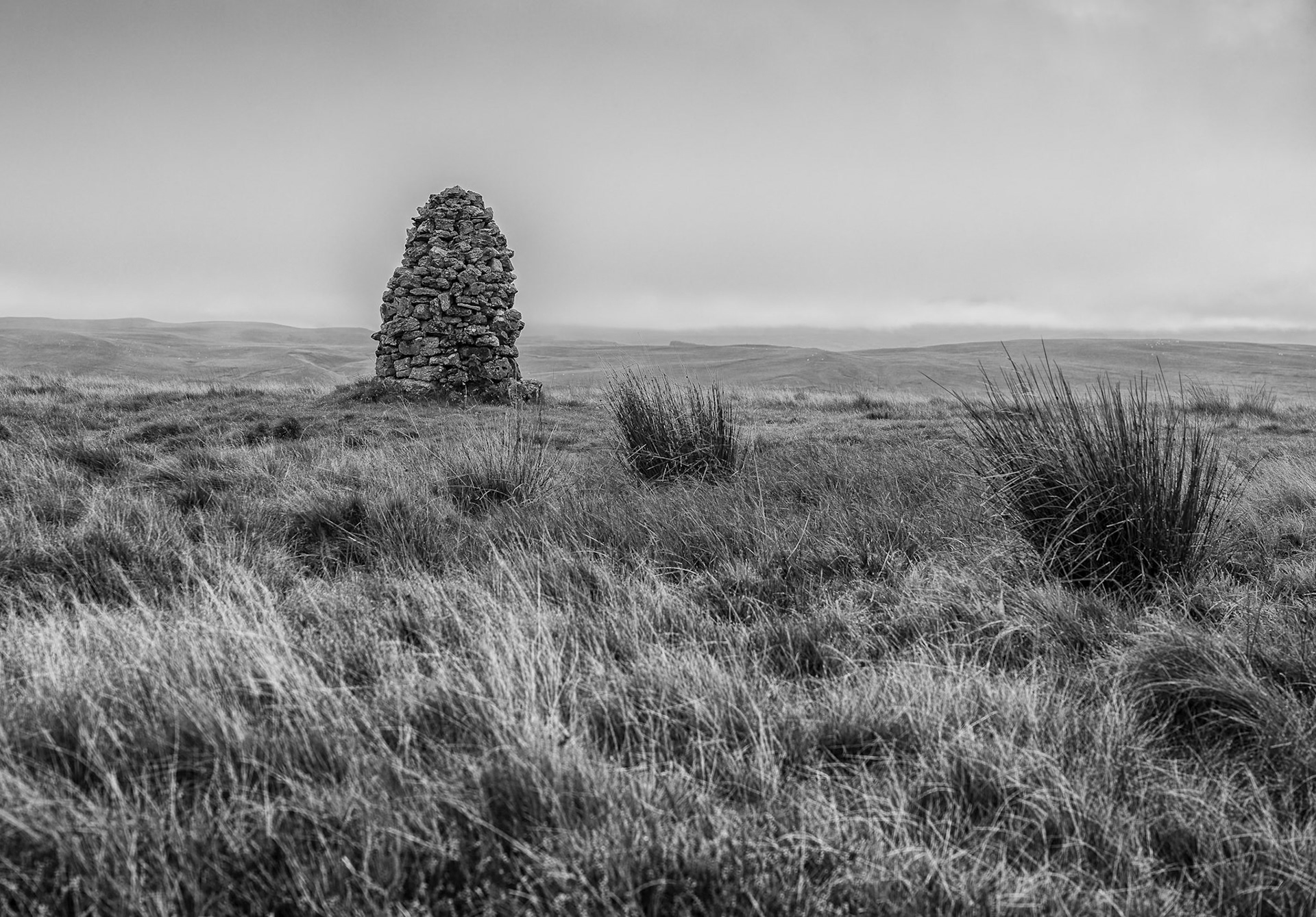 Orton Scar