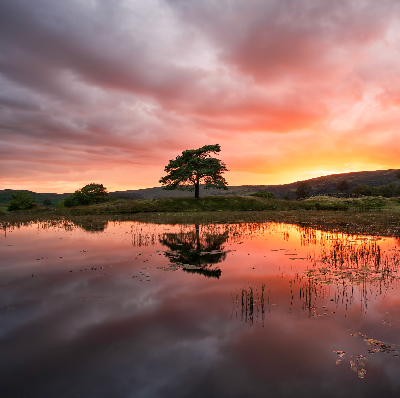 Kelly Hall Tarn