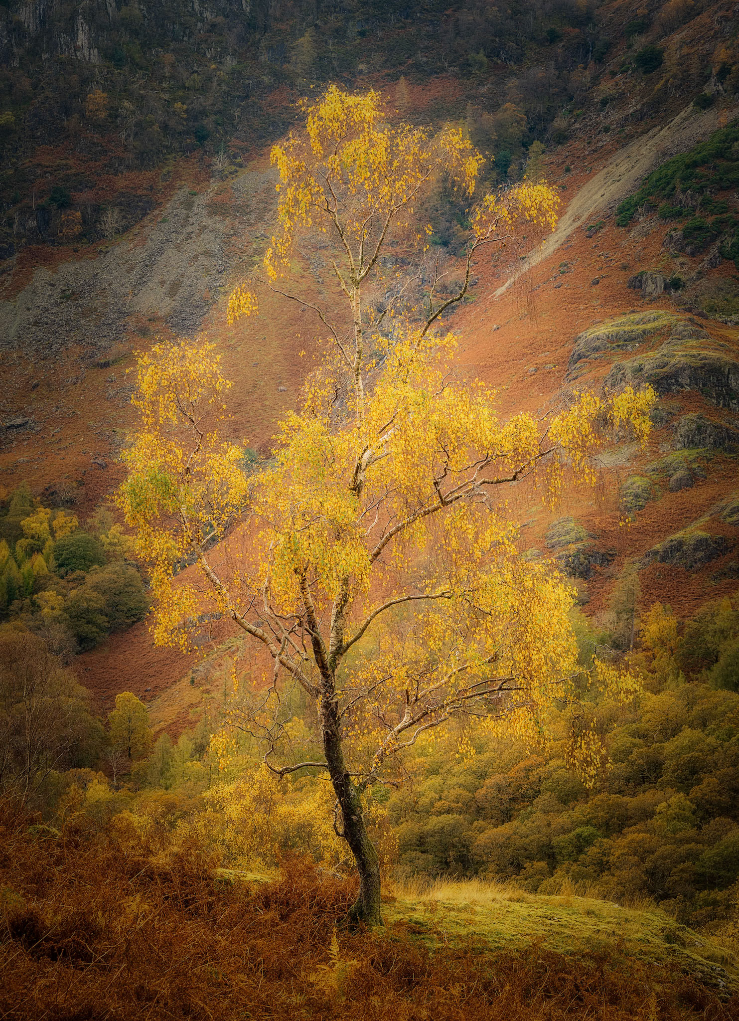 Borrowdale