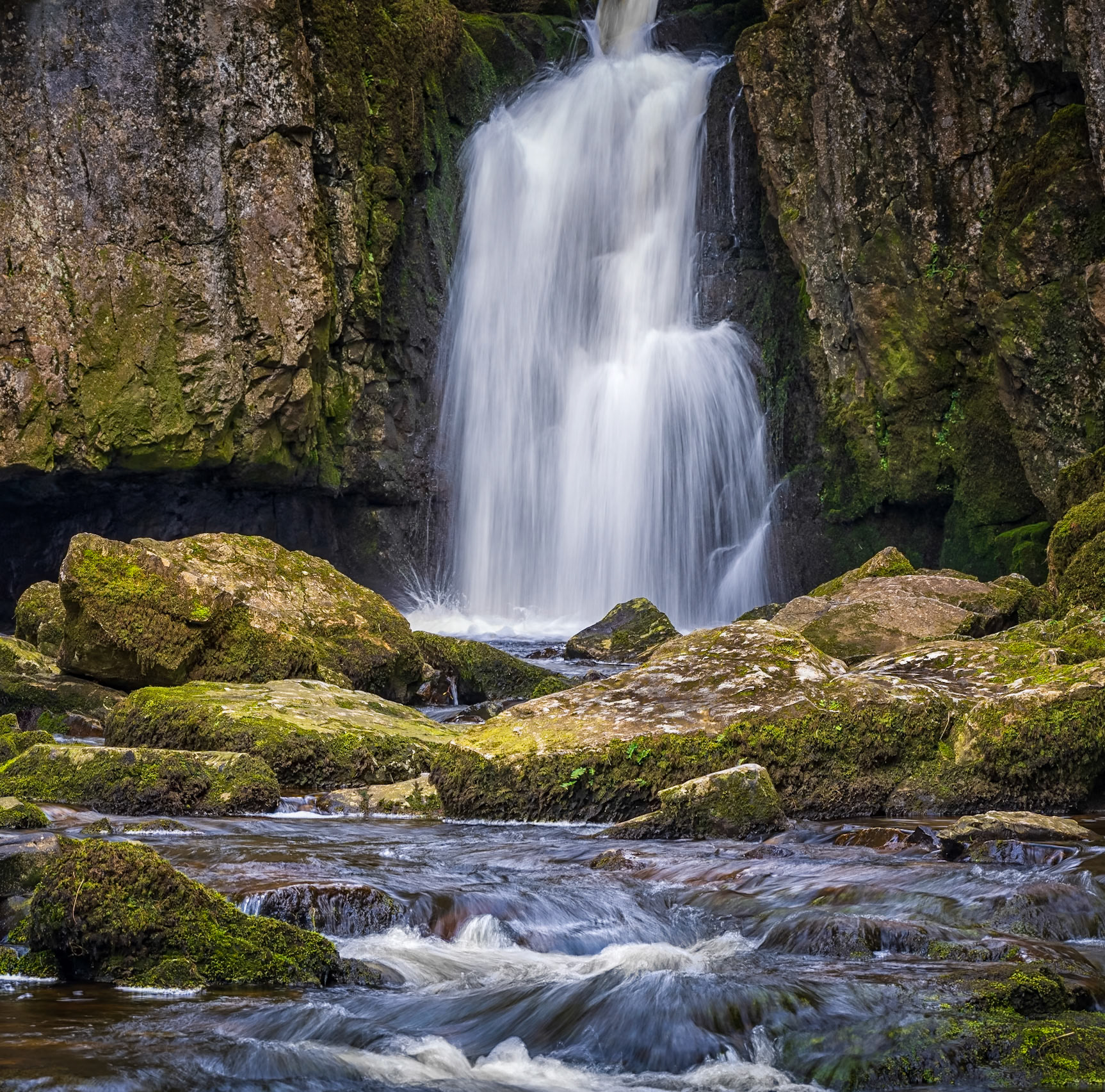 Catrigg Force