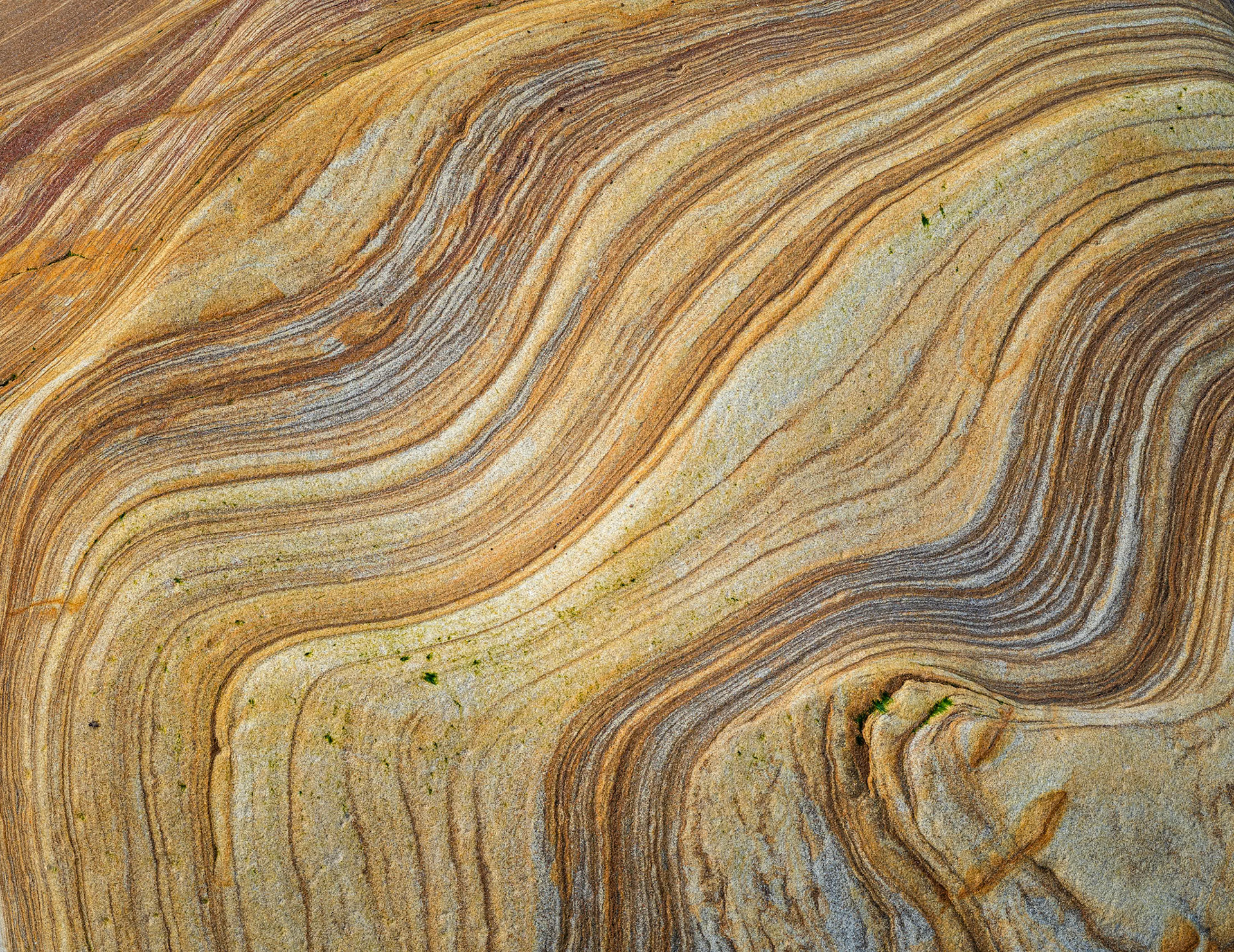 Spittal Contours