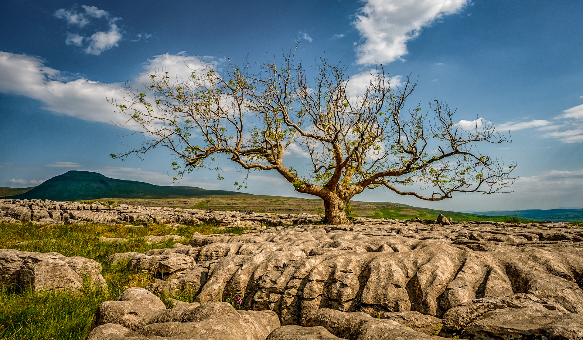 Twistleton Scar