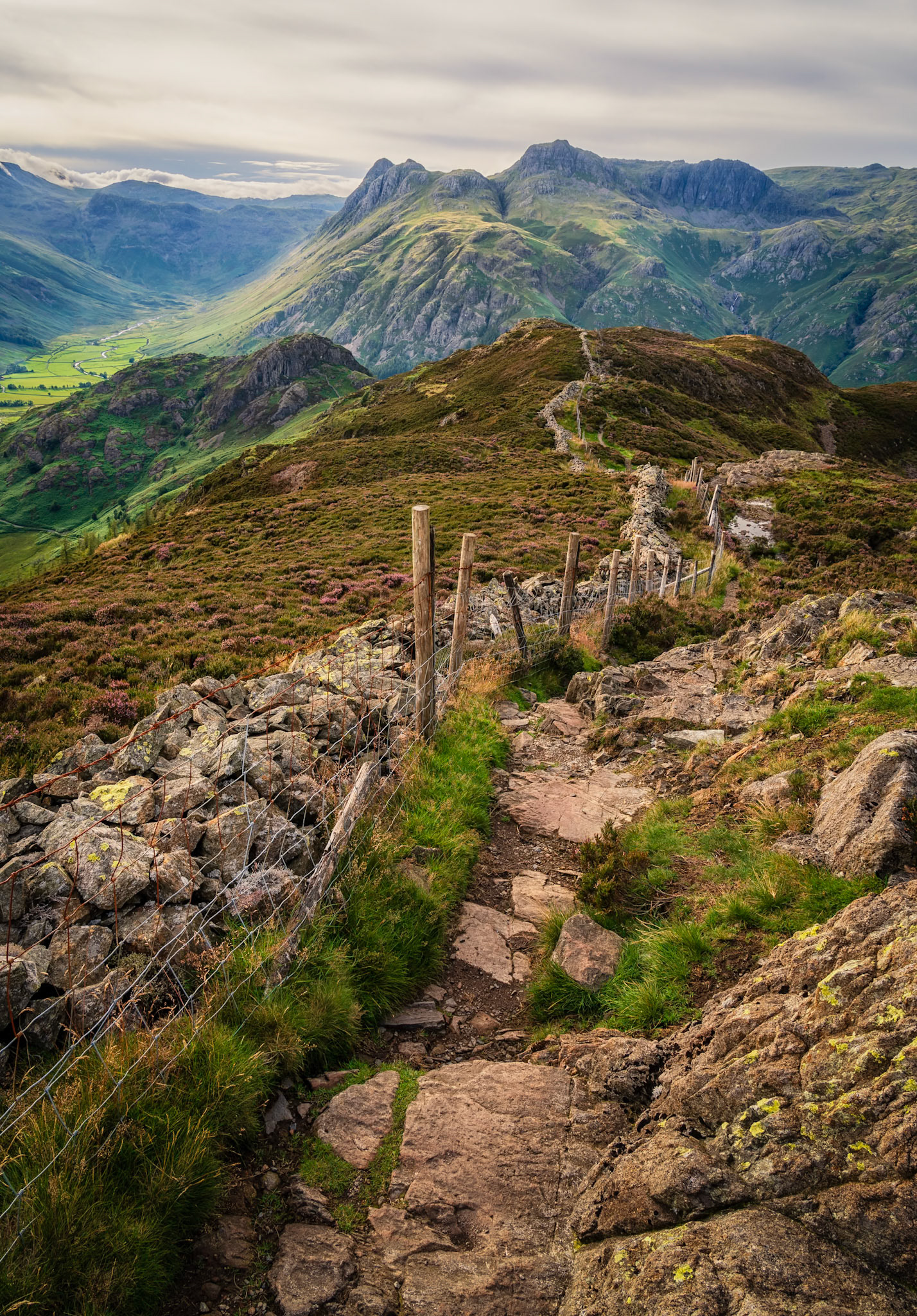 Lingmoor Fell