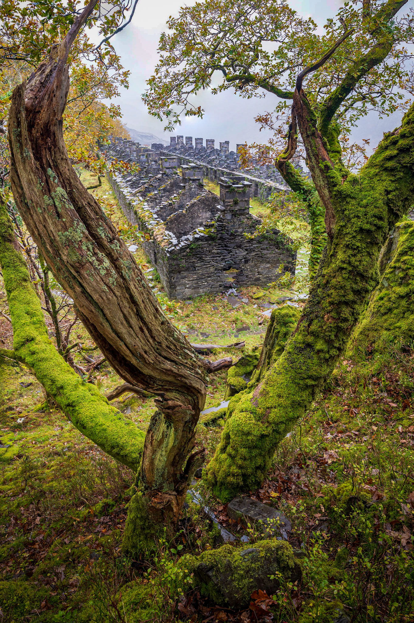 Anglesey Barracks Dinorwic