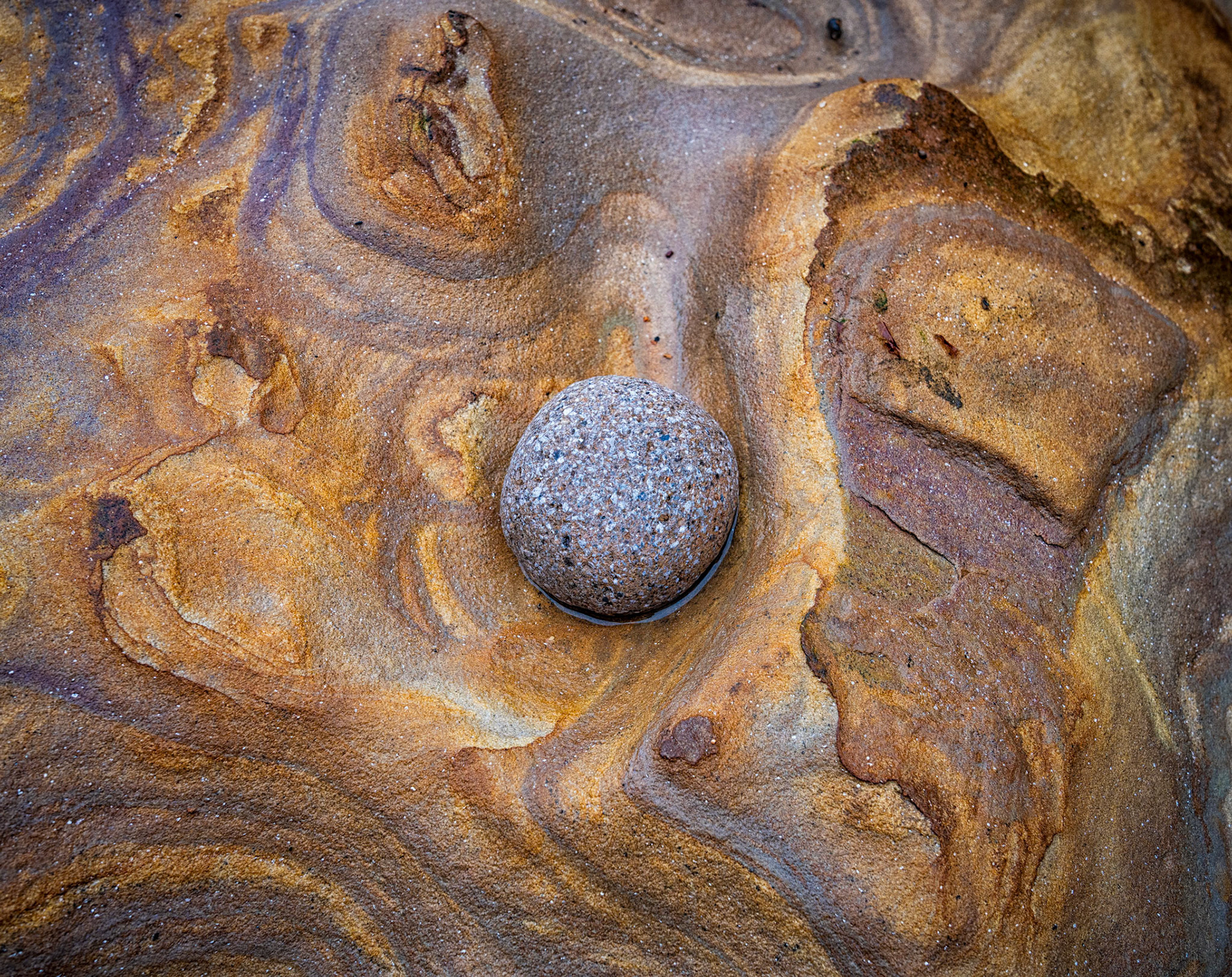 Beach Detail