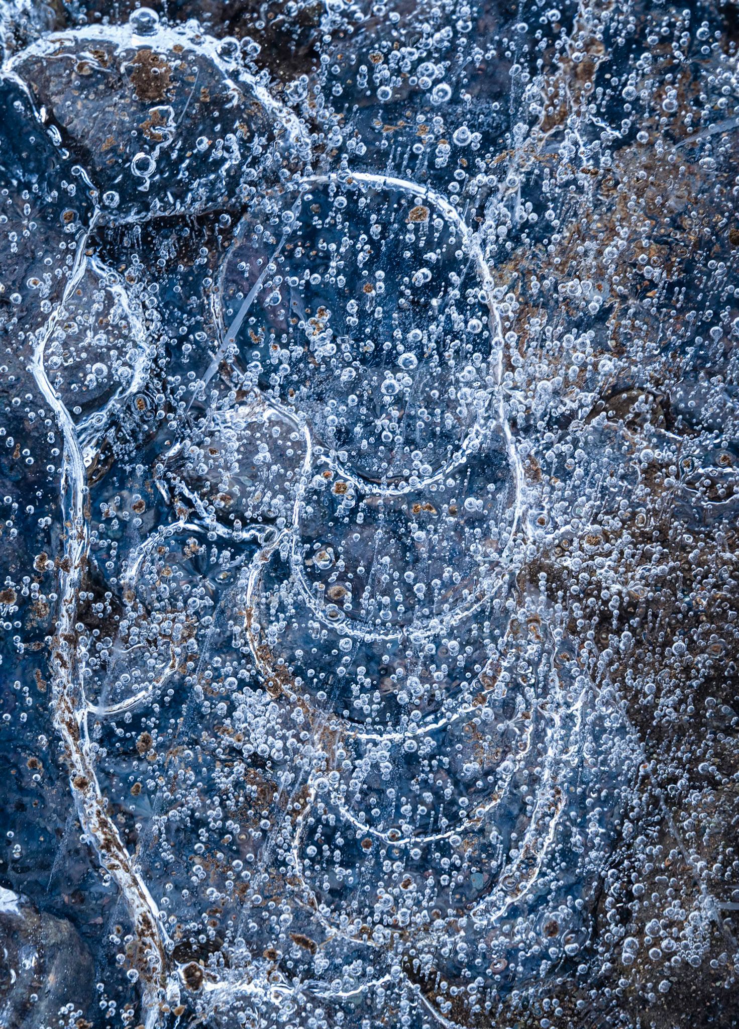 Ice Curves
