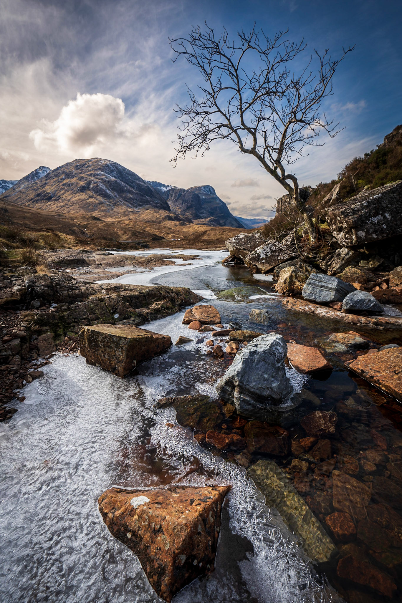 Glencoe Lonely Tree