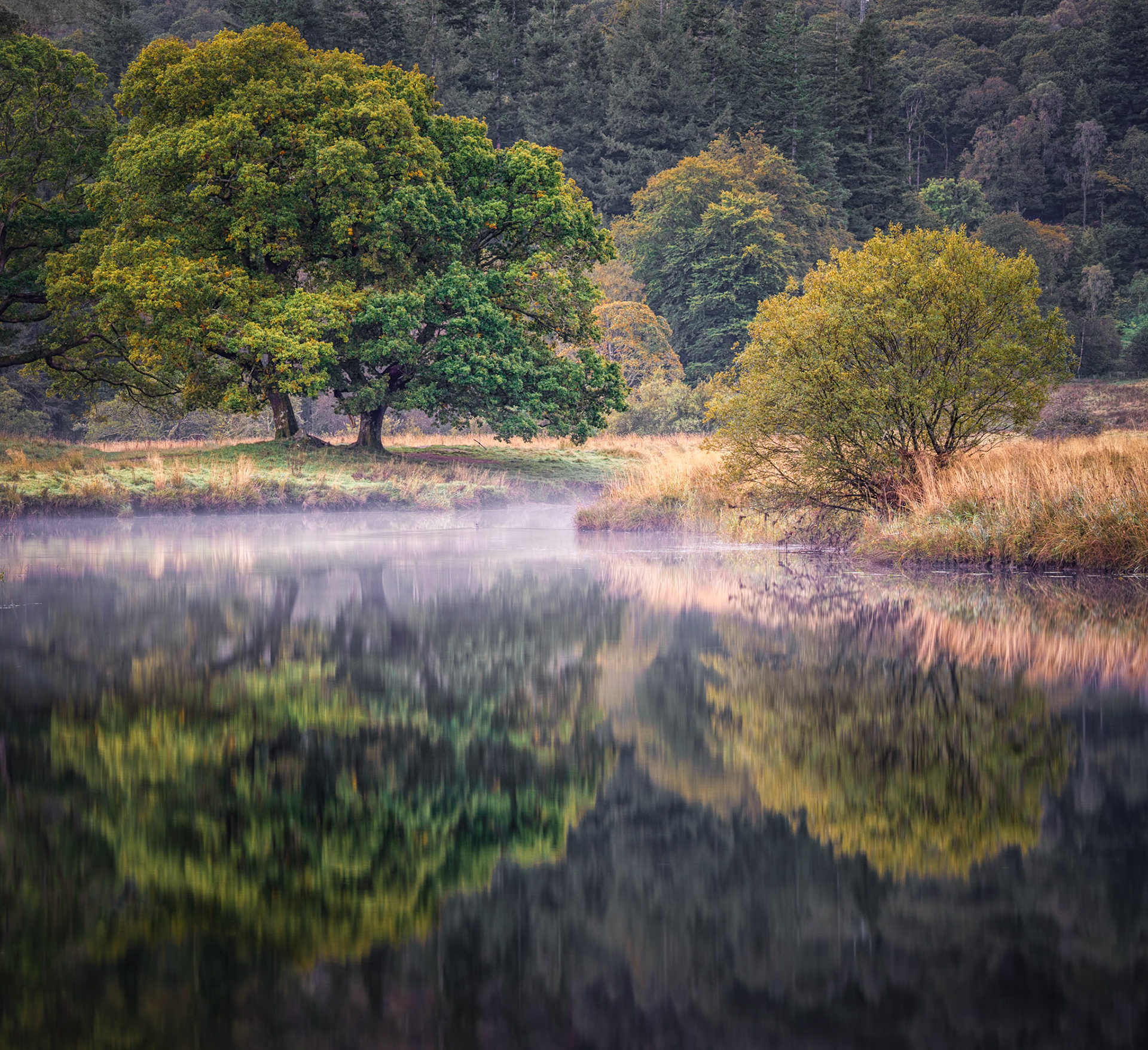 Autumnal River Brathay