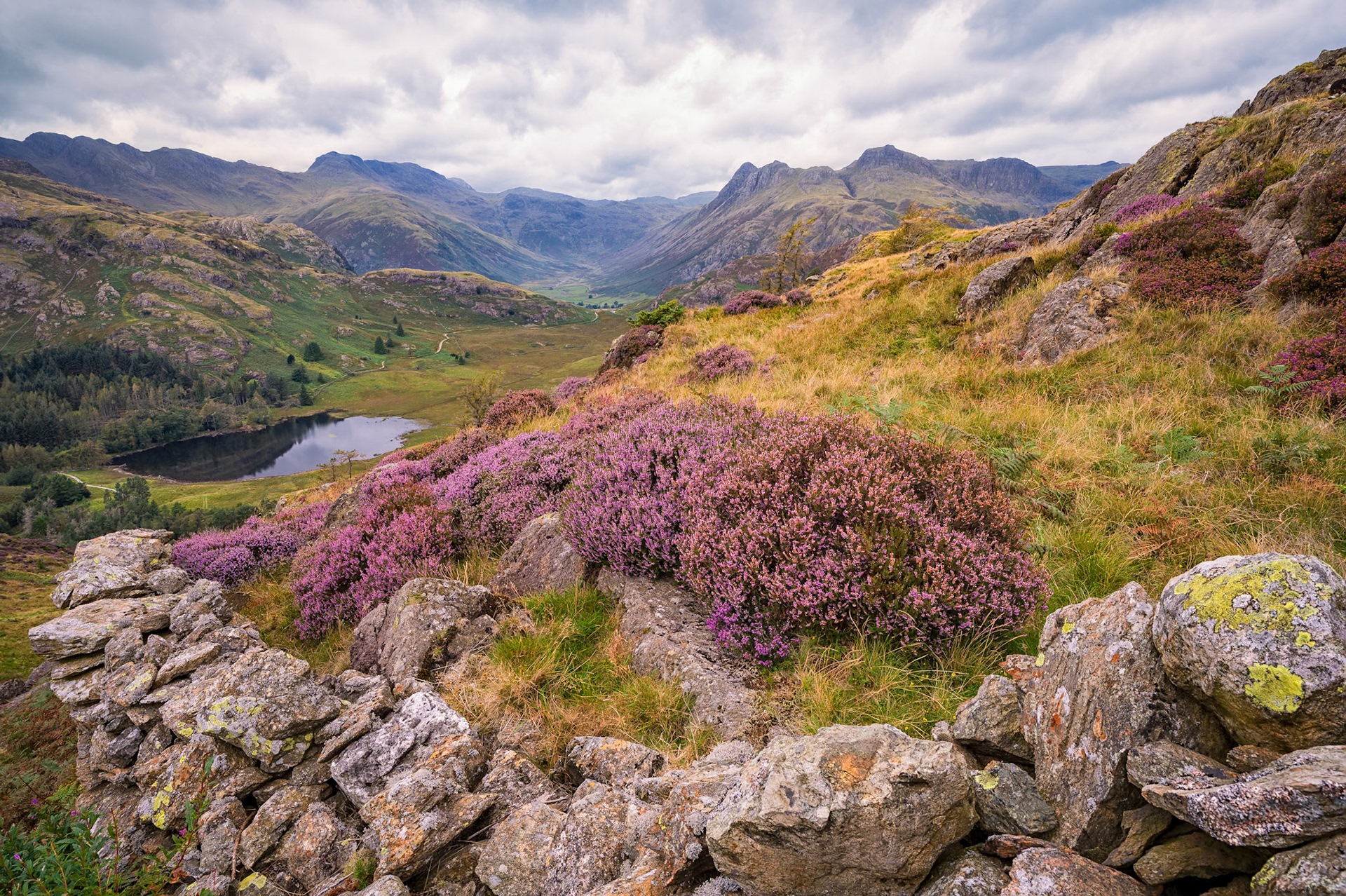 Langdale Heather