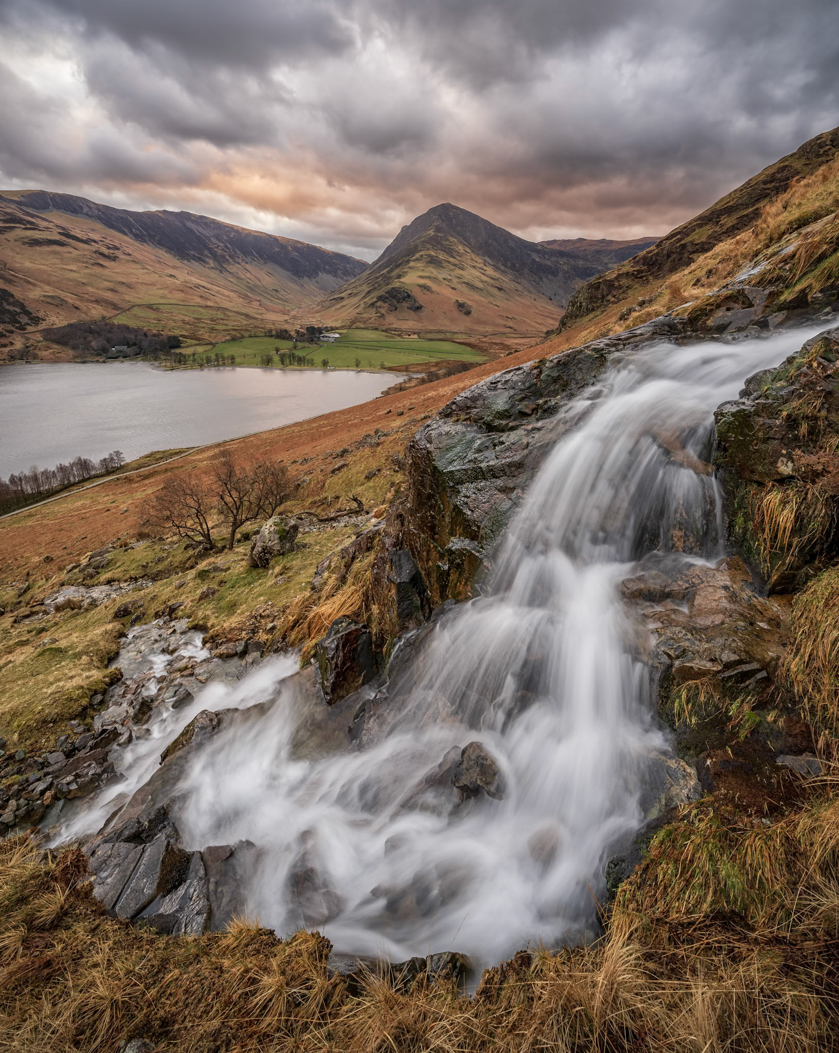 Comb Beck