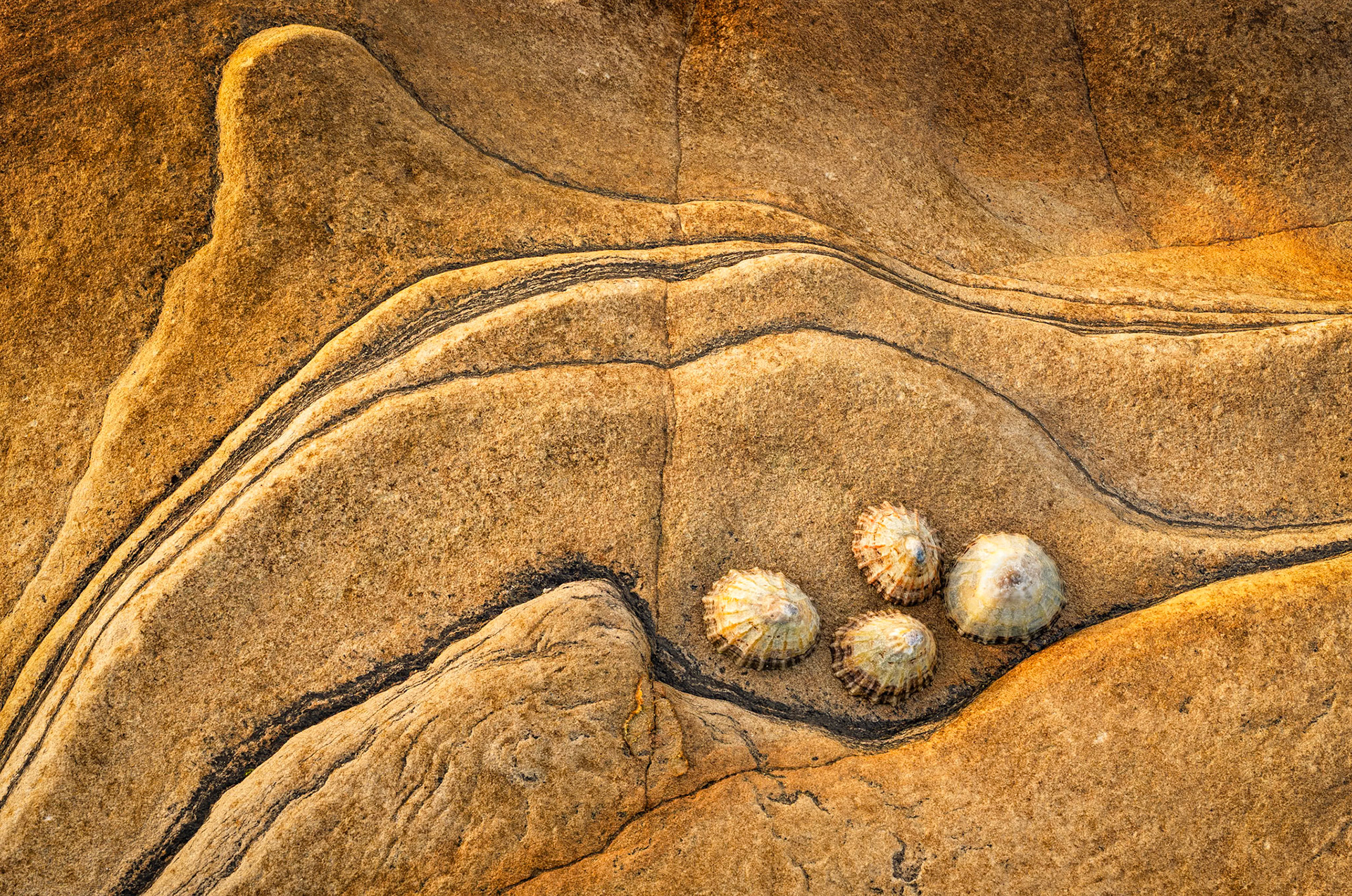 Partin Rock Contours