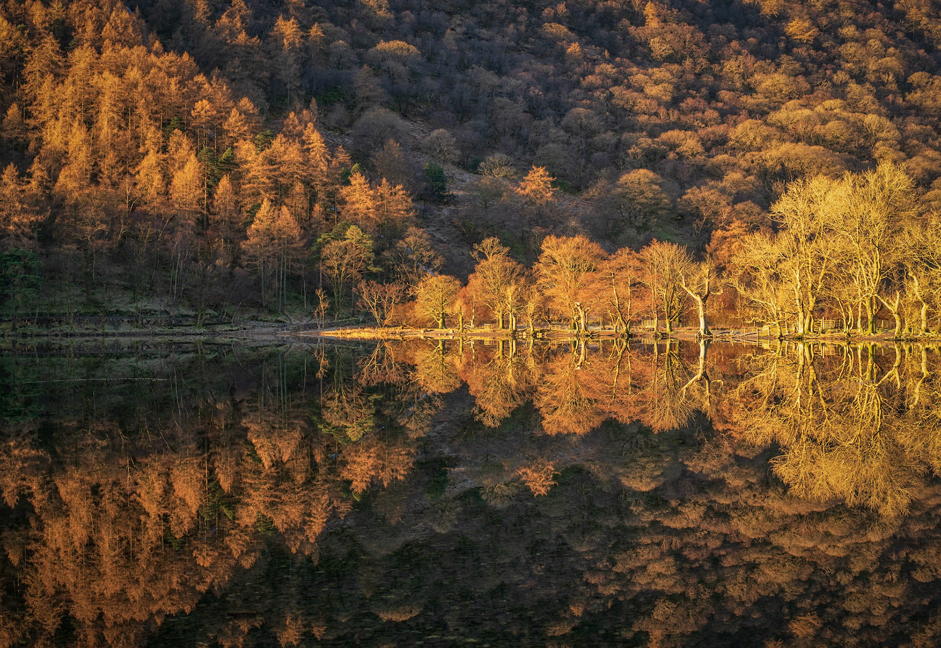 Buttermere First Light