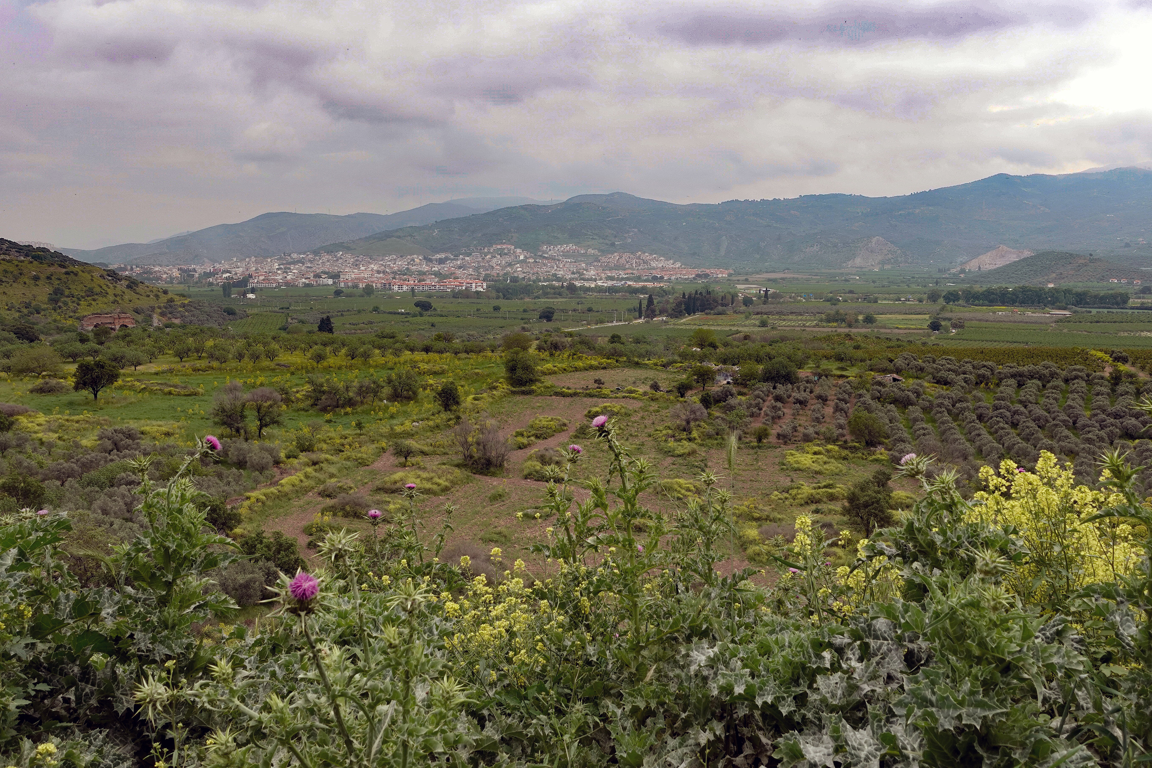 The water has receded over the years so Ephesus is no longer a port city. Instead, it is rich with oranges, olives, wheat, and other agricultural products.
